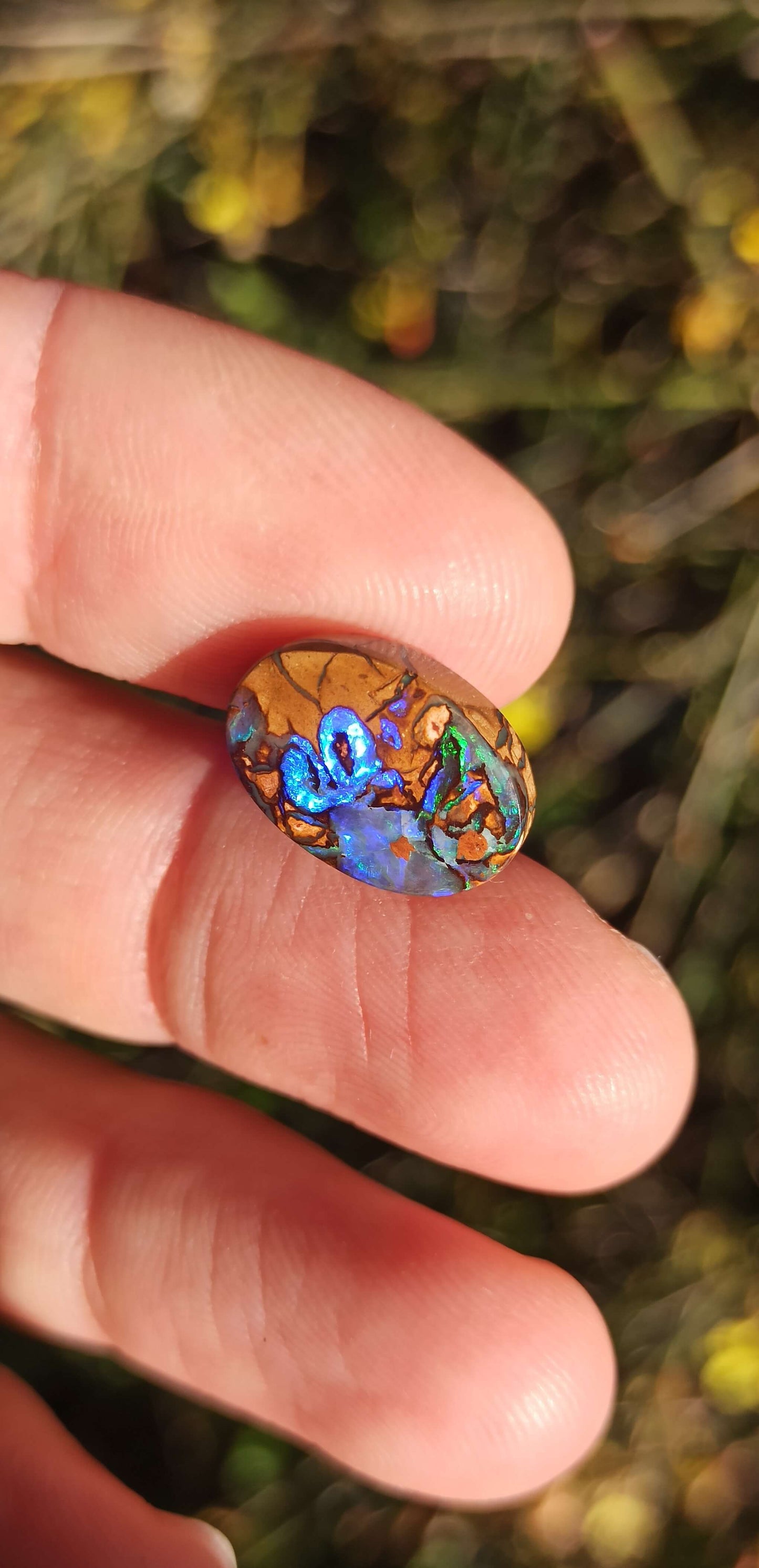 Unique Opale Boulder de Yowah