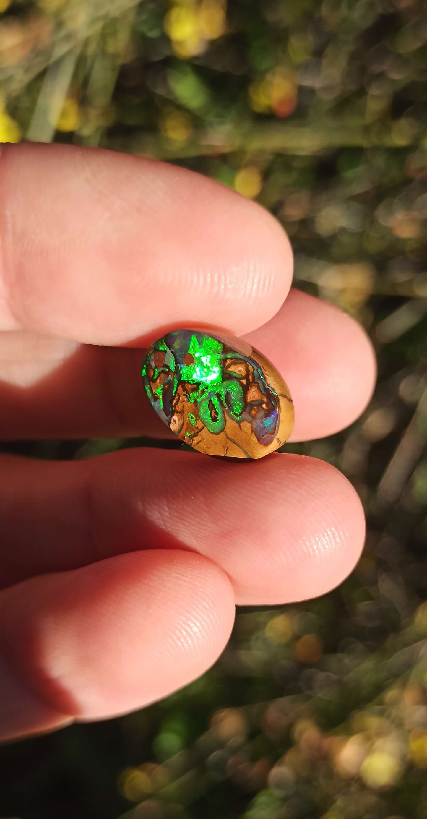 Unique Opale Boulder de Yowah