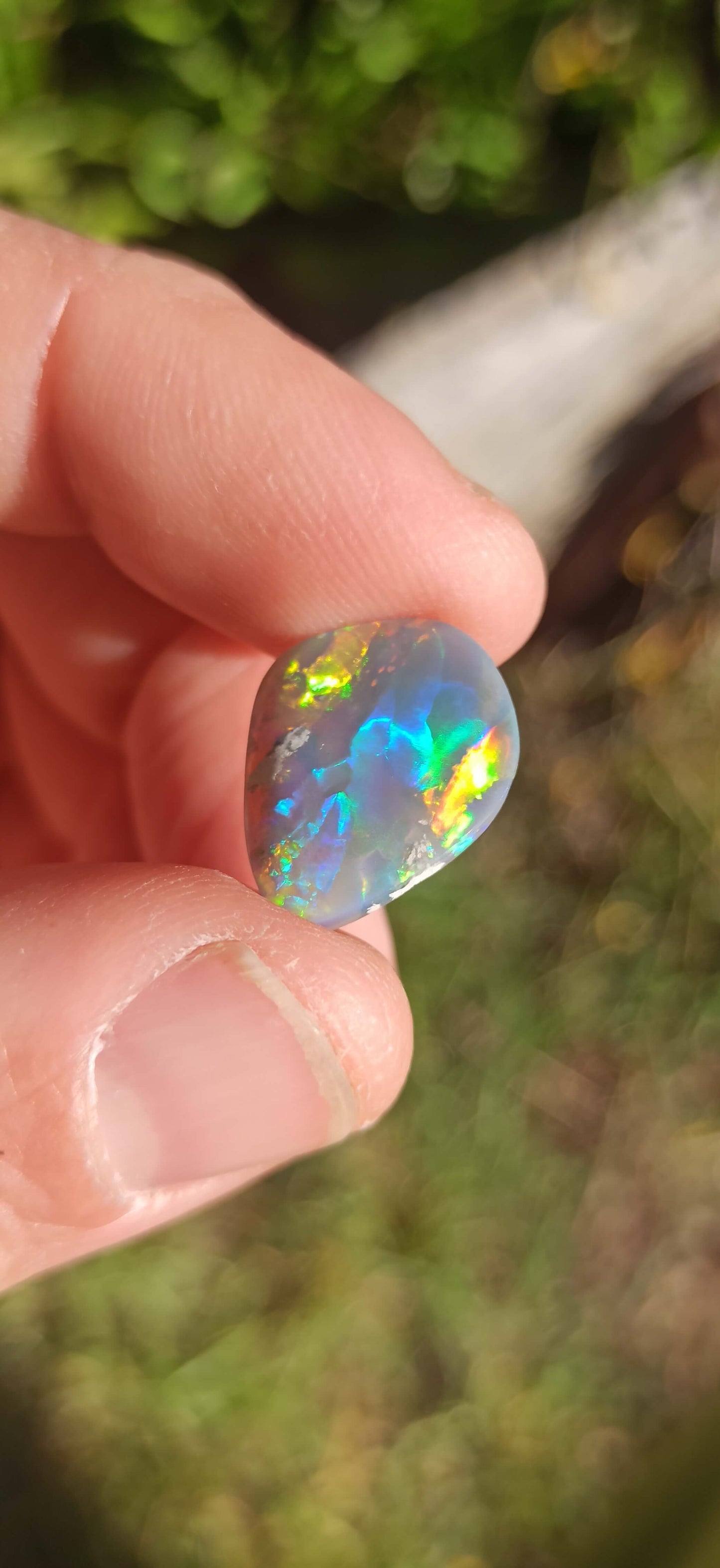 Opale Semi Noire ~ Lightning Ridge 🇦🇺