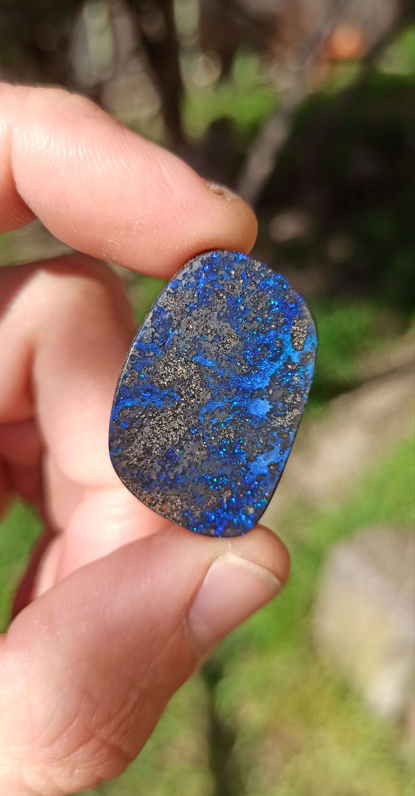 Cosmic Blue Boulder Opal ~ Winton