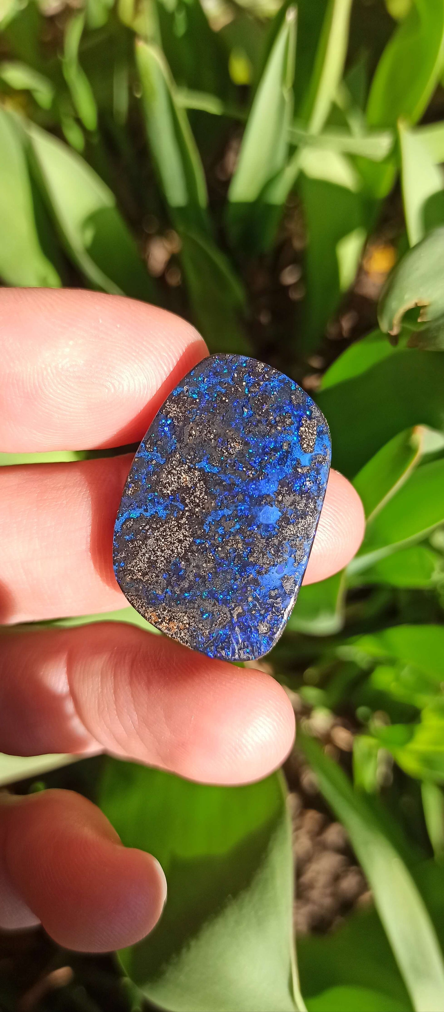 Cosmic Blue Boulder Opal ~ Winton