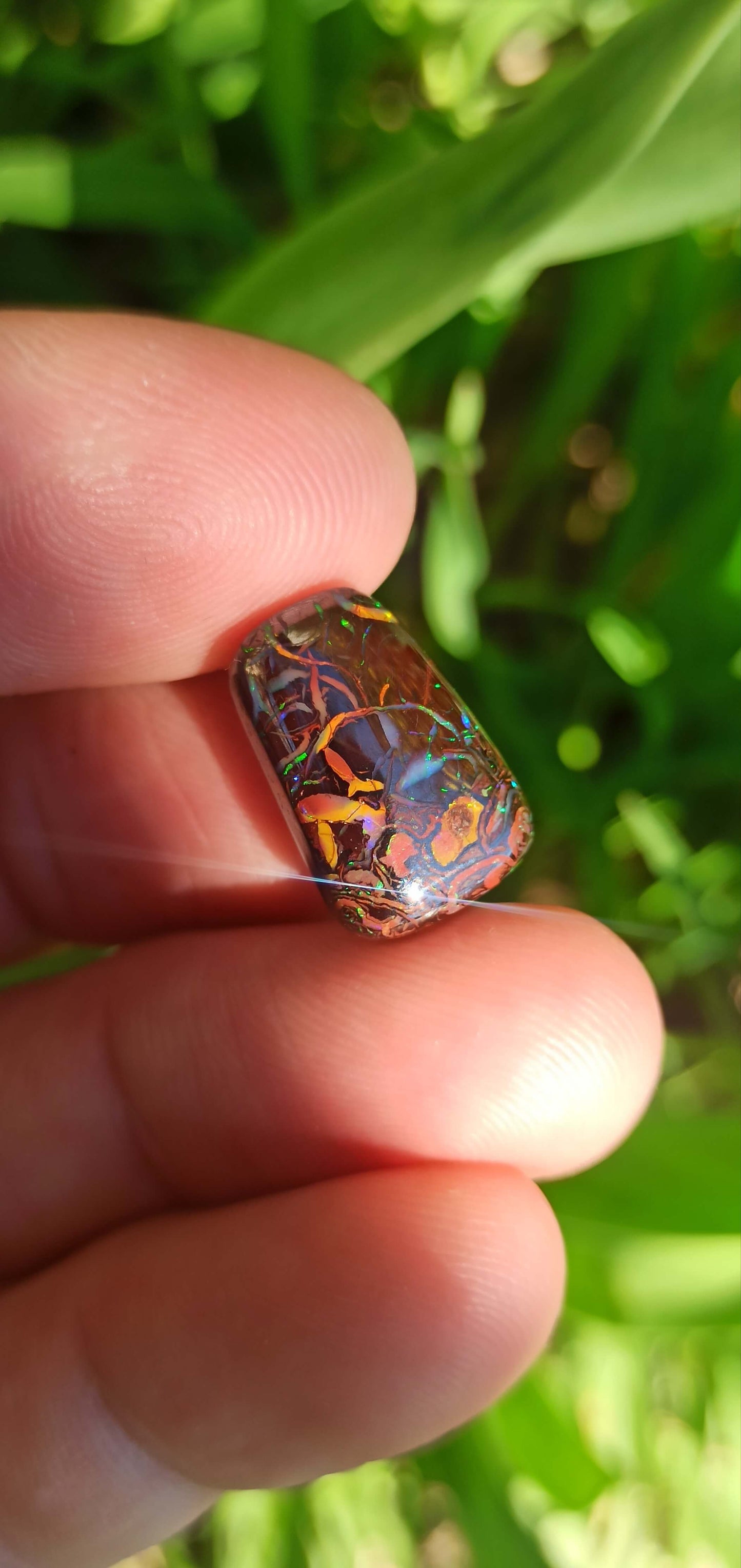 Petite Opale Boulder Koroit ~ Australie