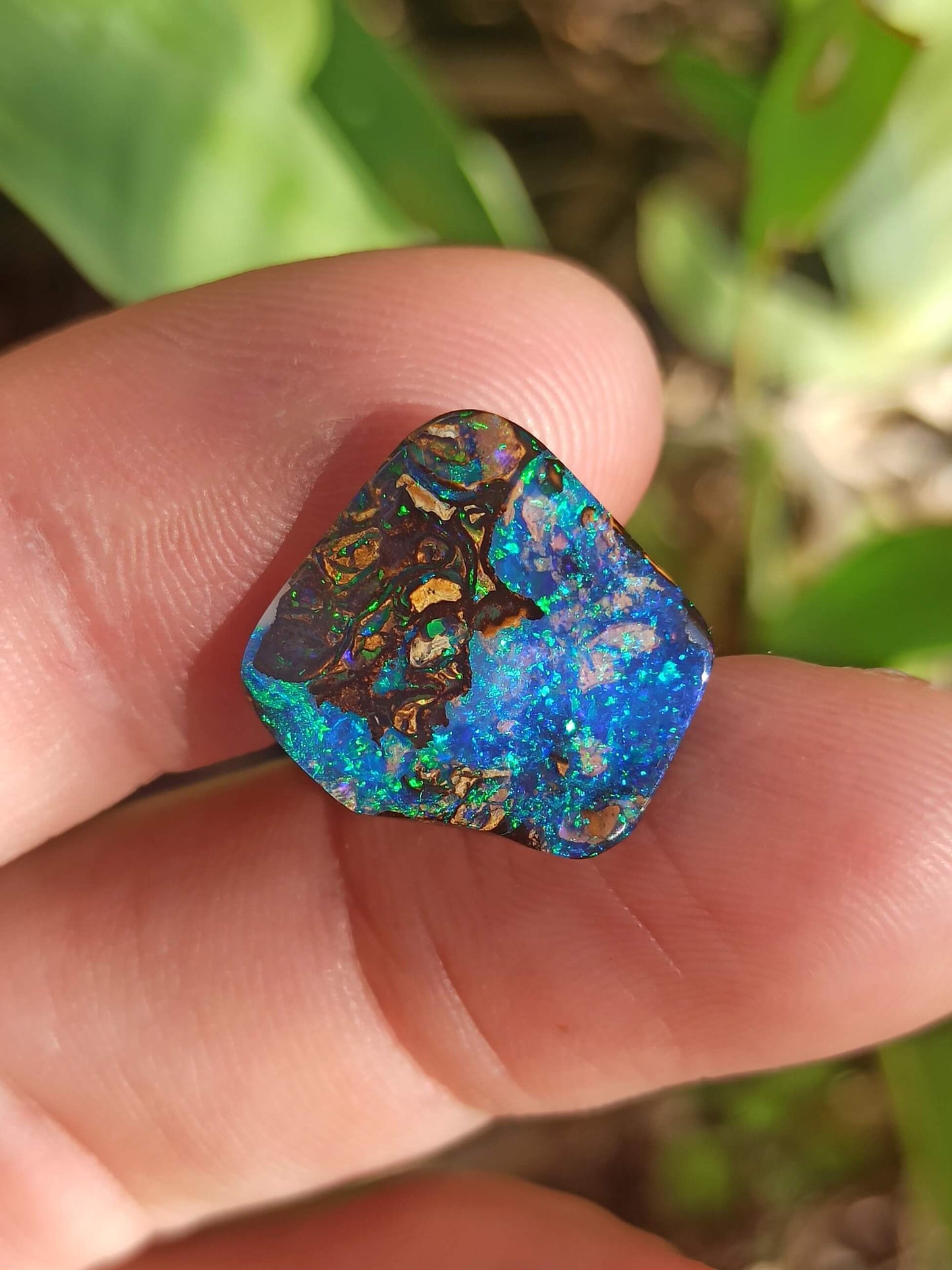 Investment Koroit Gem Opal