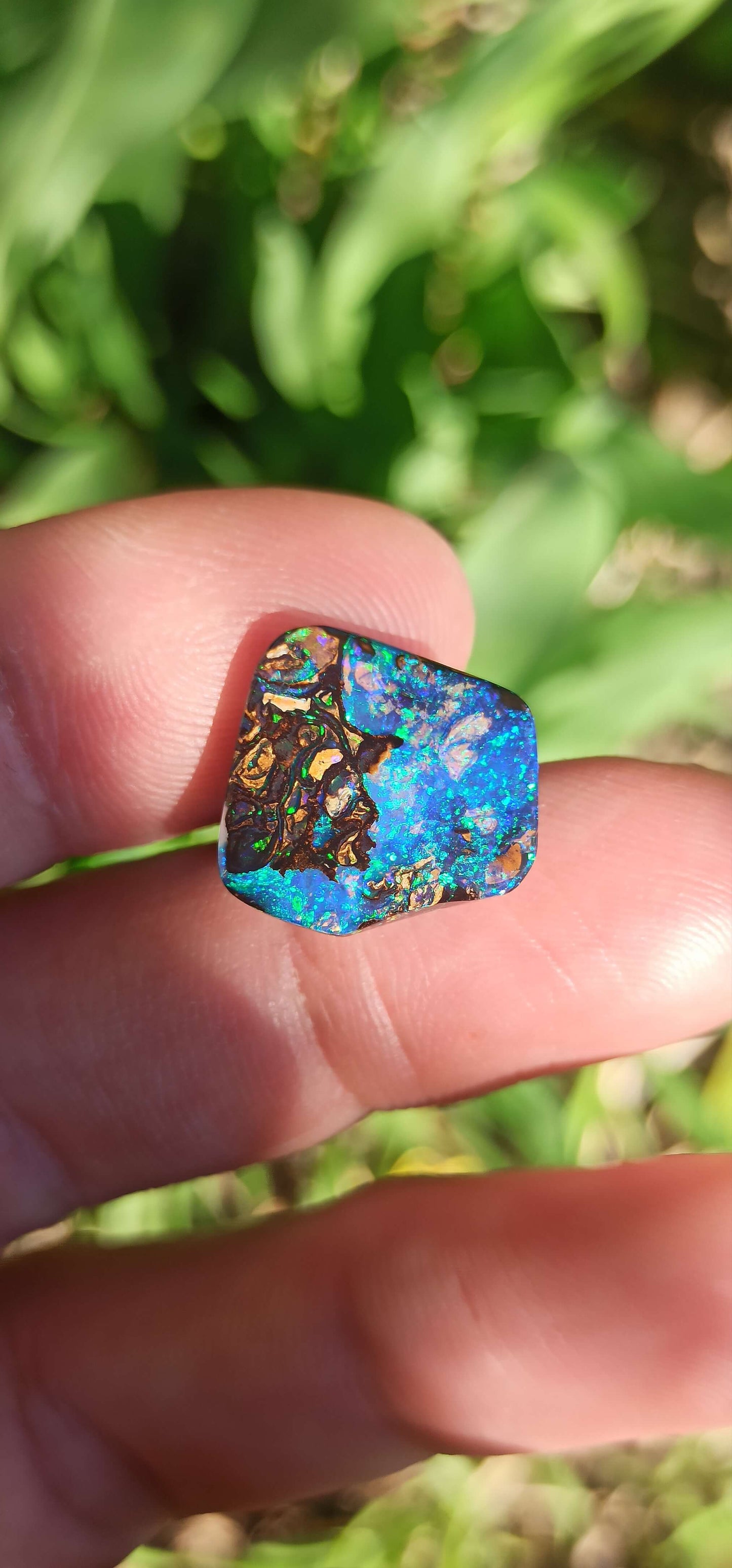 Investment Koroit Gem Opal