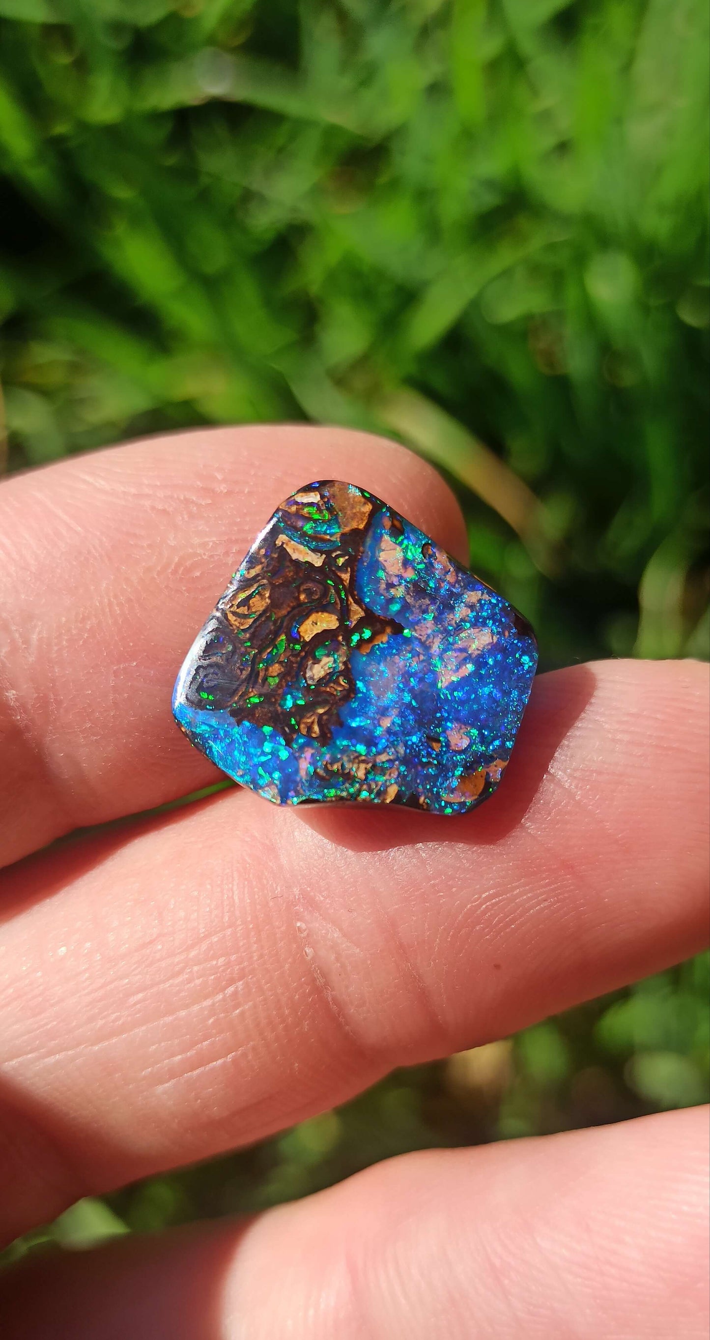 Investment Koroit Gem Opal