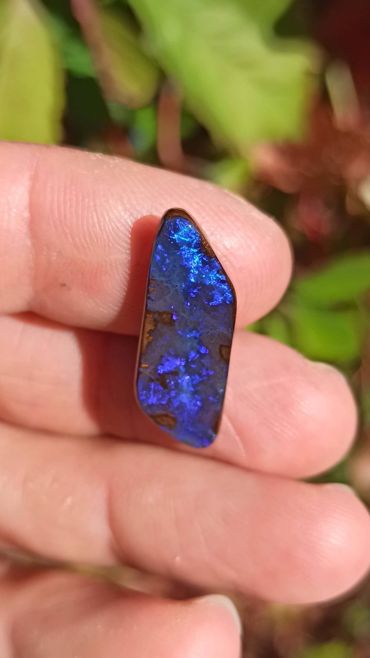 Black Boulder Opal ~ Winton