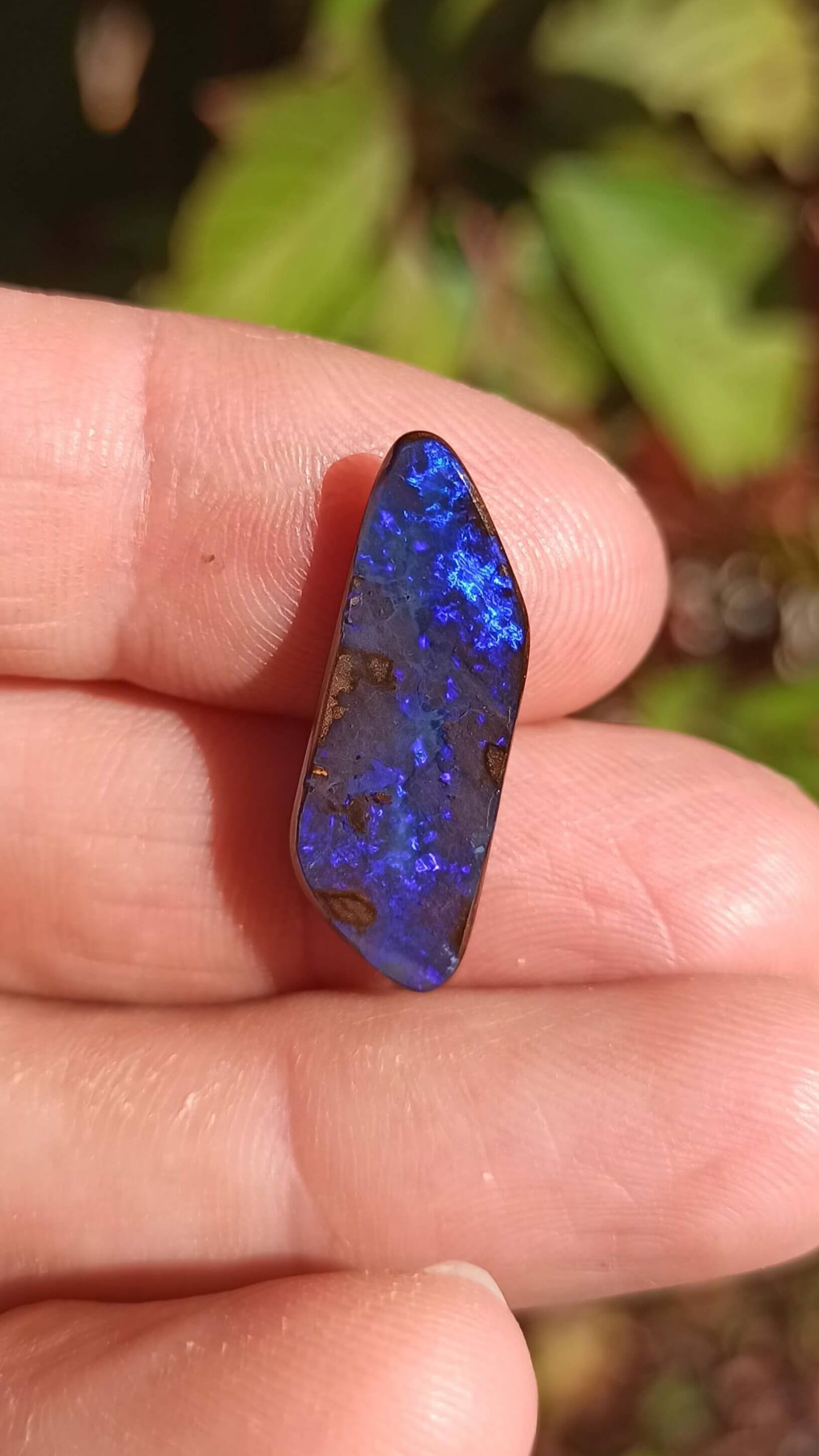 Black Boulder Opal ~ Winton