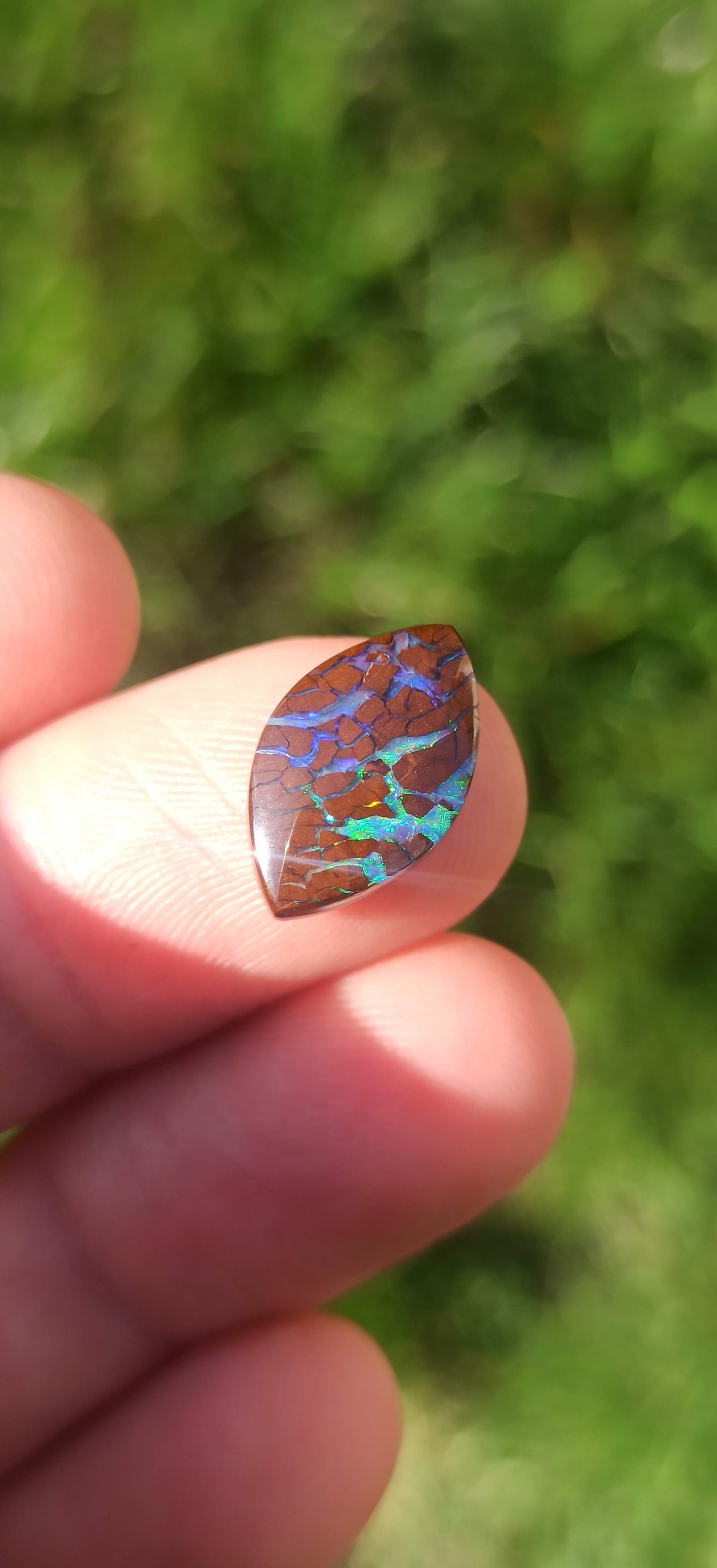 Opale Boulder  Koroit Bi-Colore ~ 🇦🇺