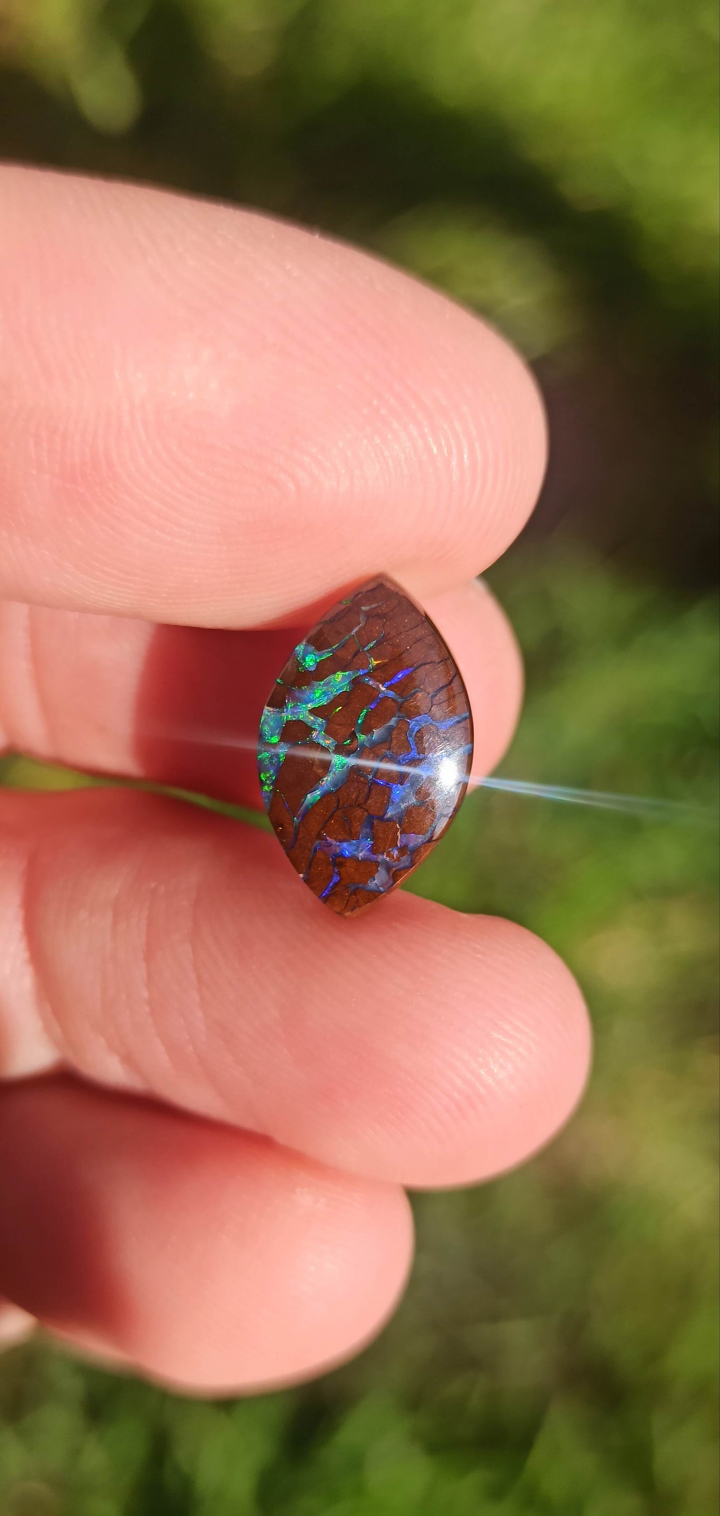 Opale Boulder  Koroit Bi-Colore ~ 🇦🇺