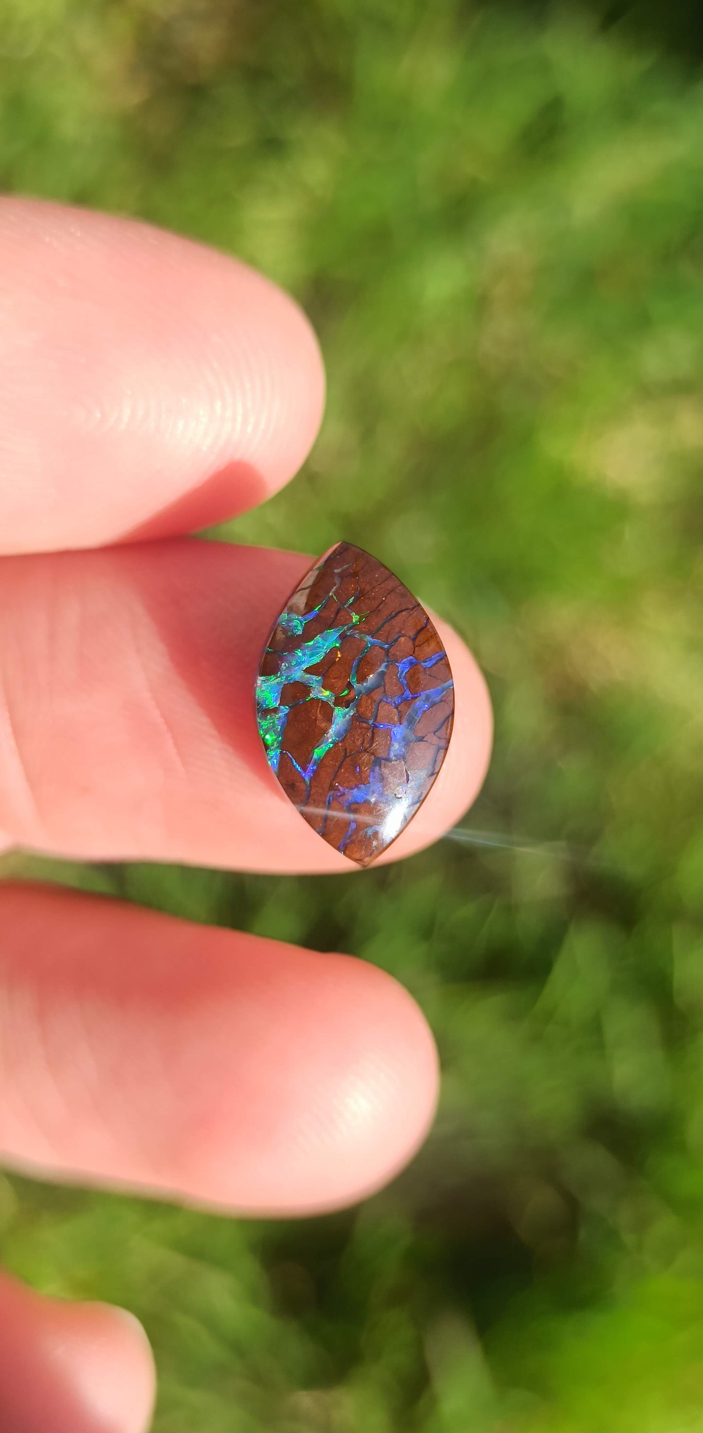 Opale Boulder  Koroit Bi-Colore ~ 🇦🇺