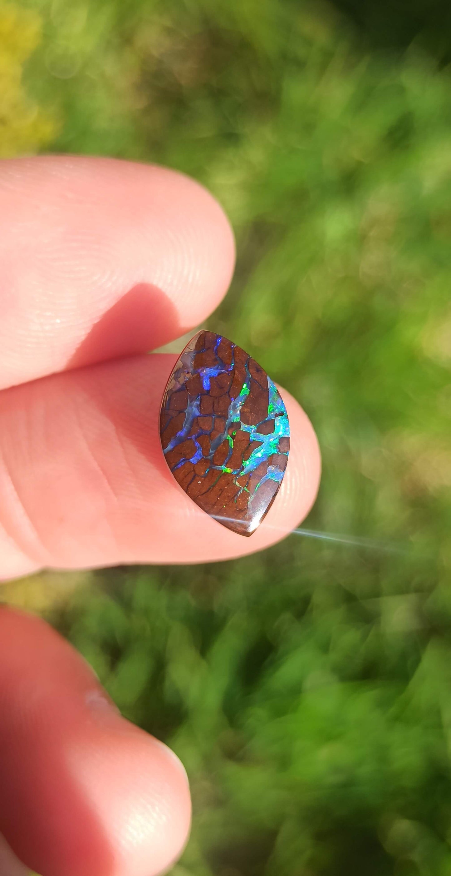 Opale Boulder  Koroit Bi-Colore ~ 🇦🇺