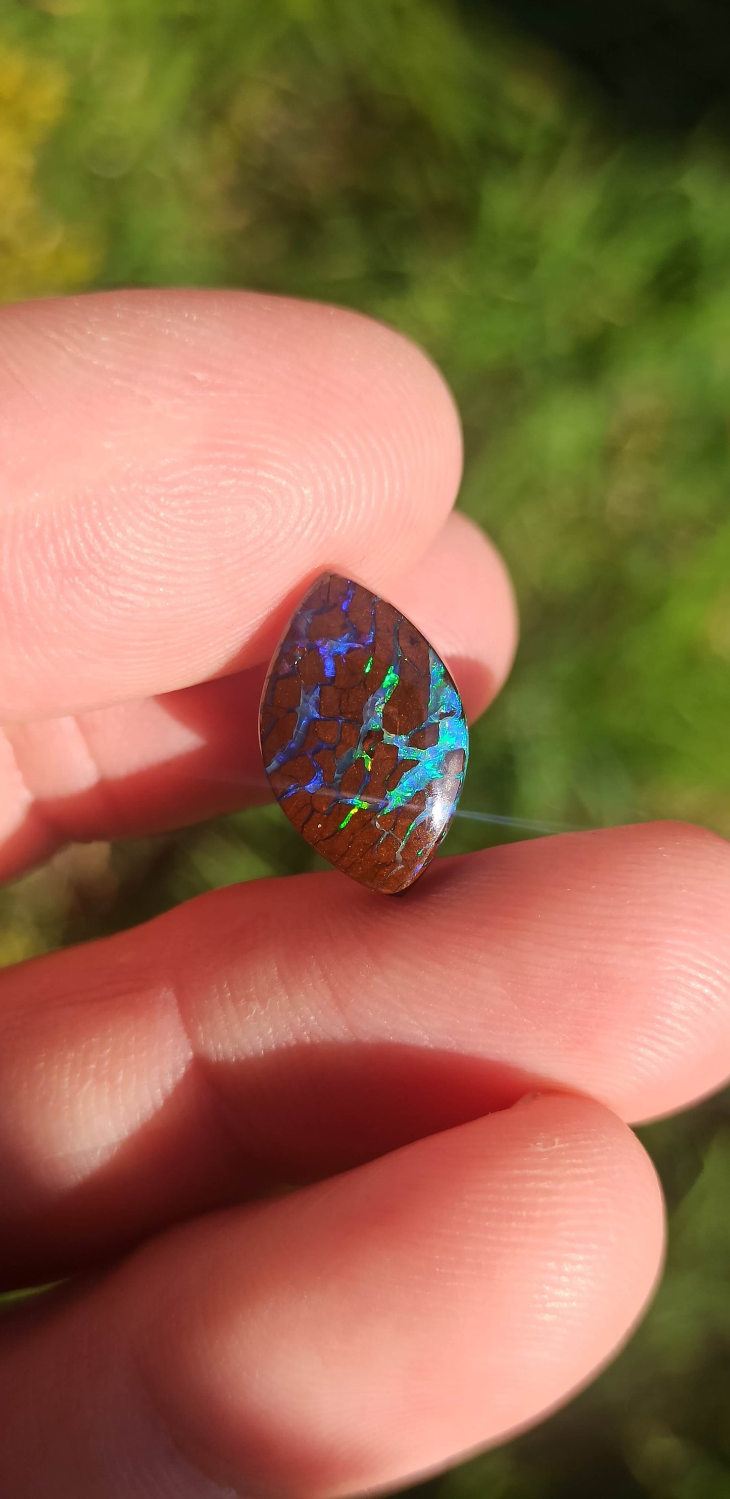 Opale Boulder  Koroit Bi-Colore ~ 🇦🇺