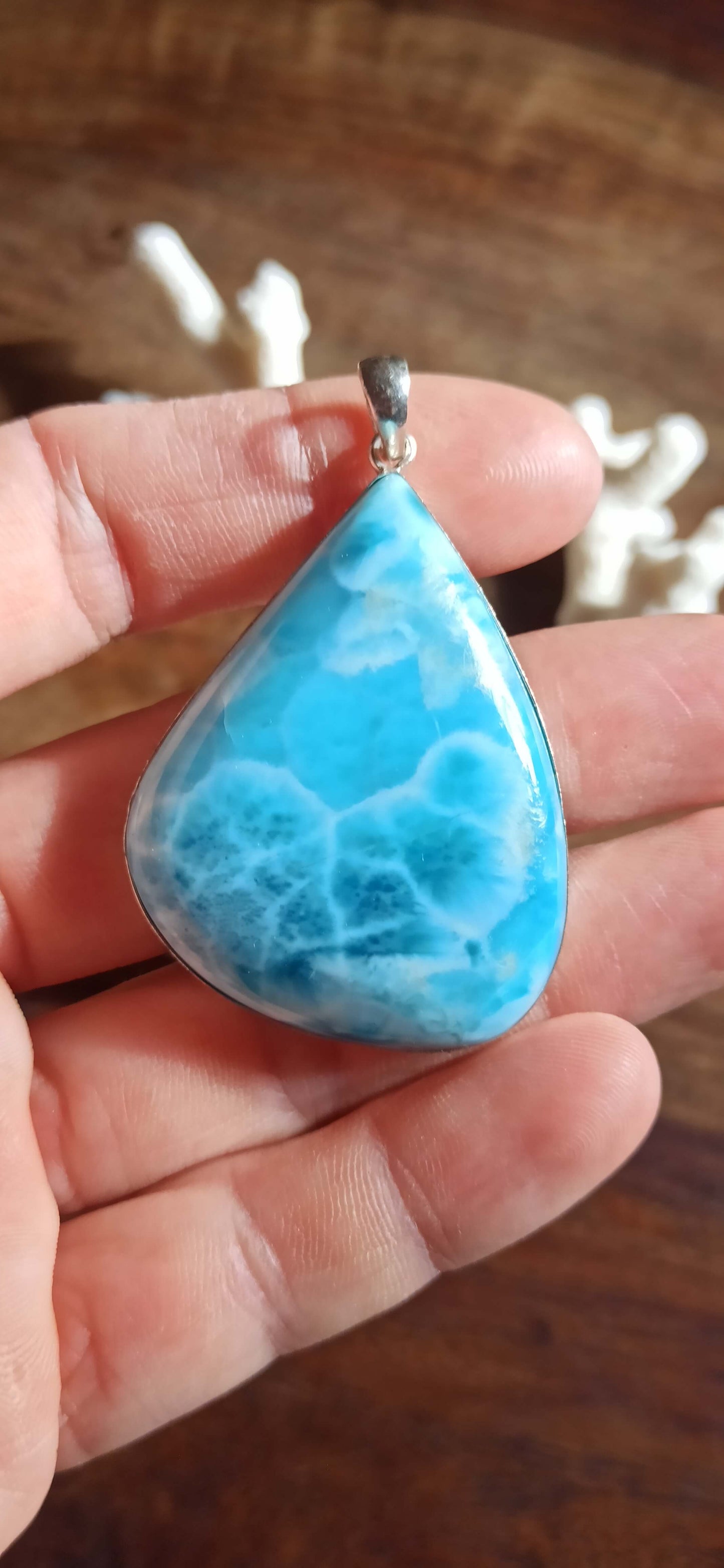 Pendentif "Baleine" Larimar ~ Argent