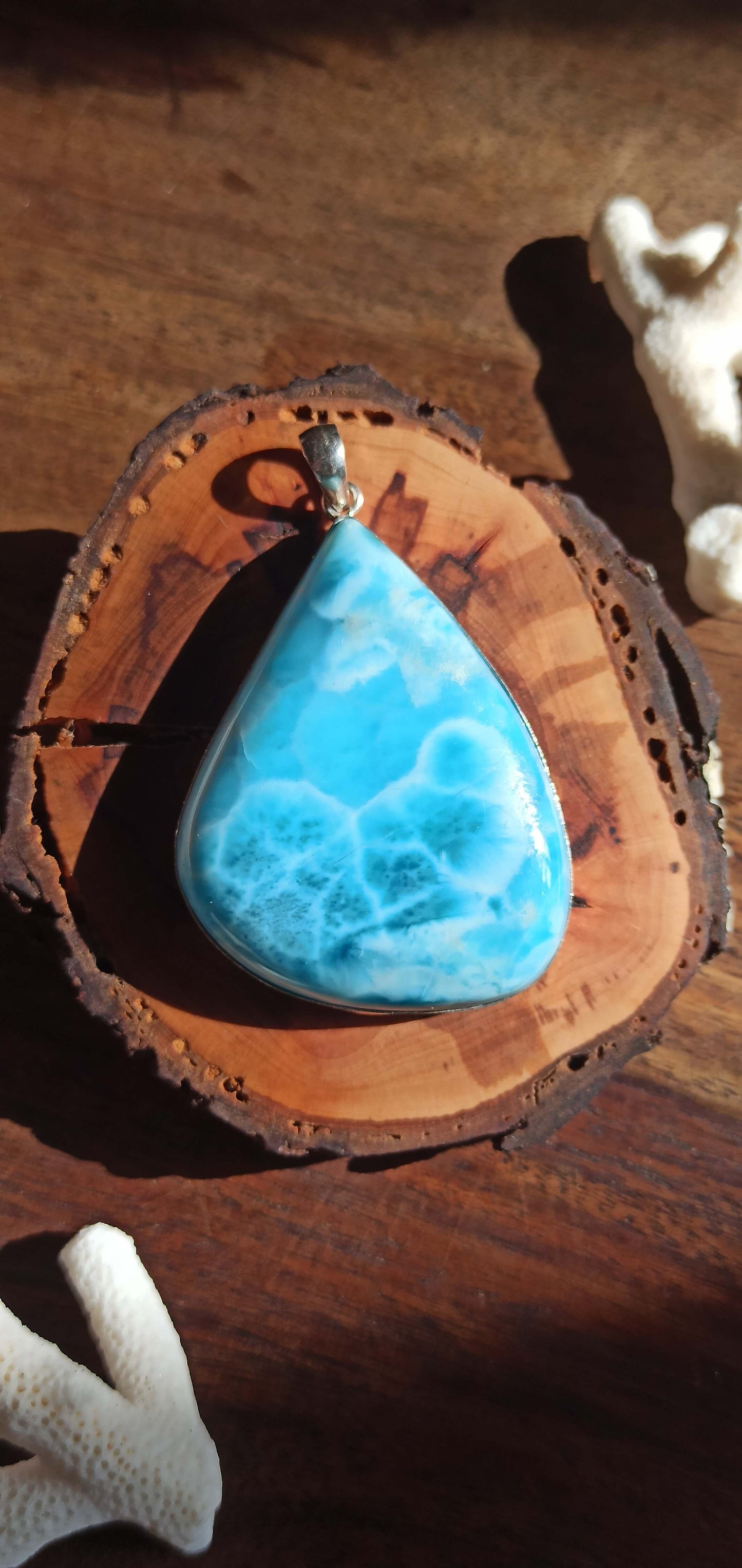Pendentif "Baleine" Larimar ~ Argent