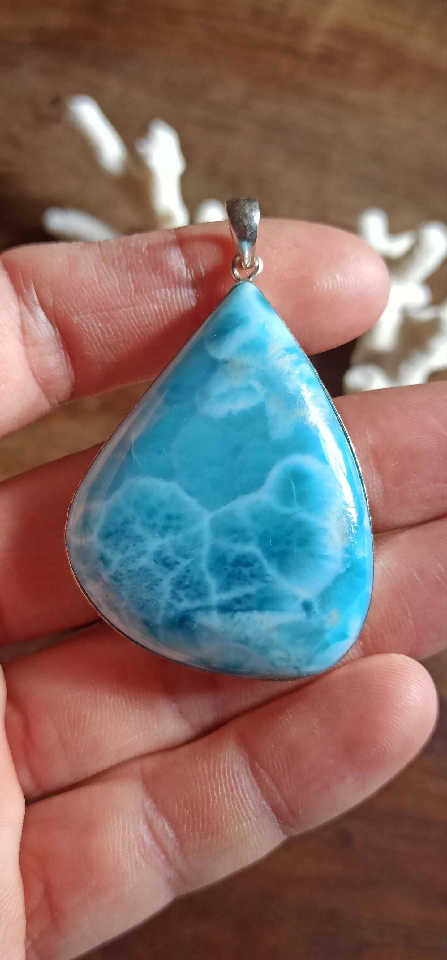 Pendentif "Baleine" Larimar ~ Argent