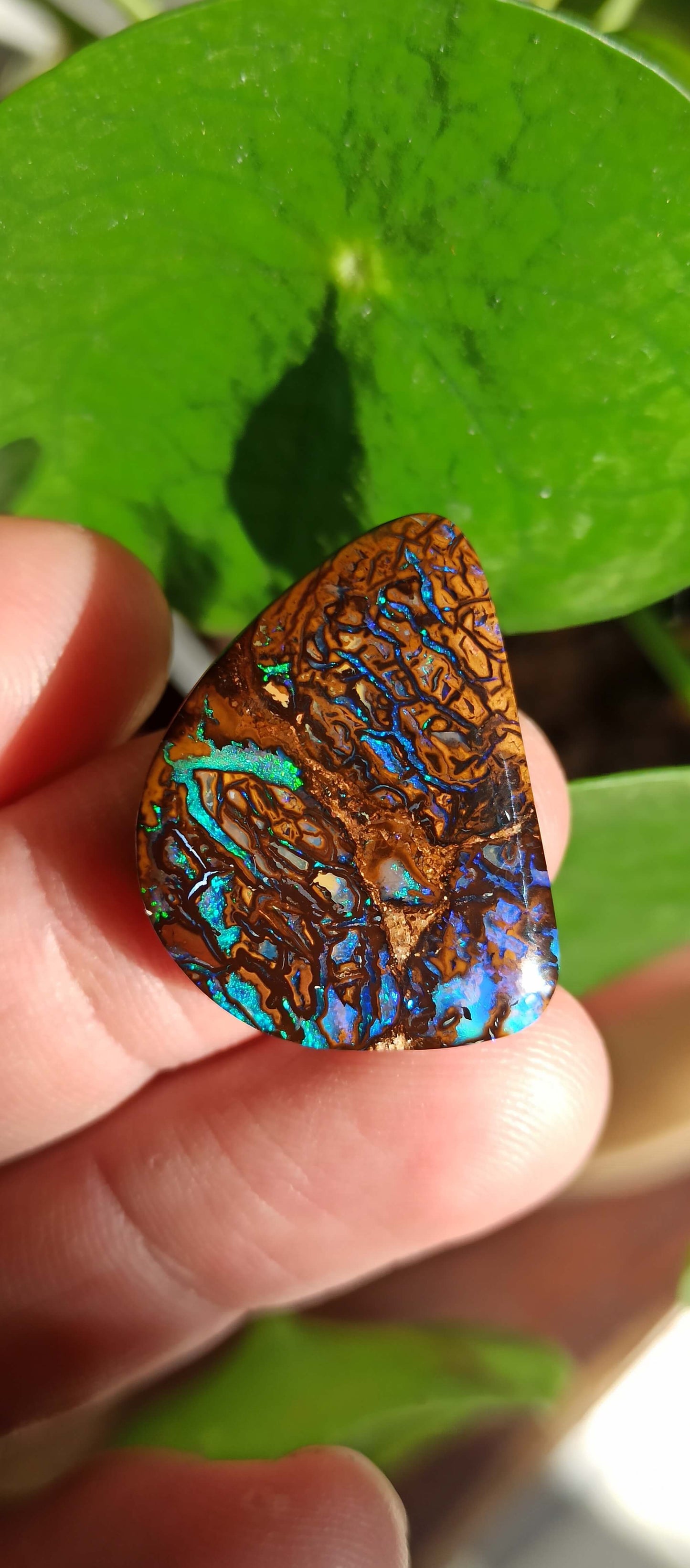 Opale Boulder Originale Koroit 🇦🇺