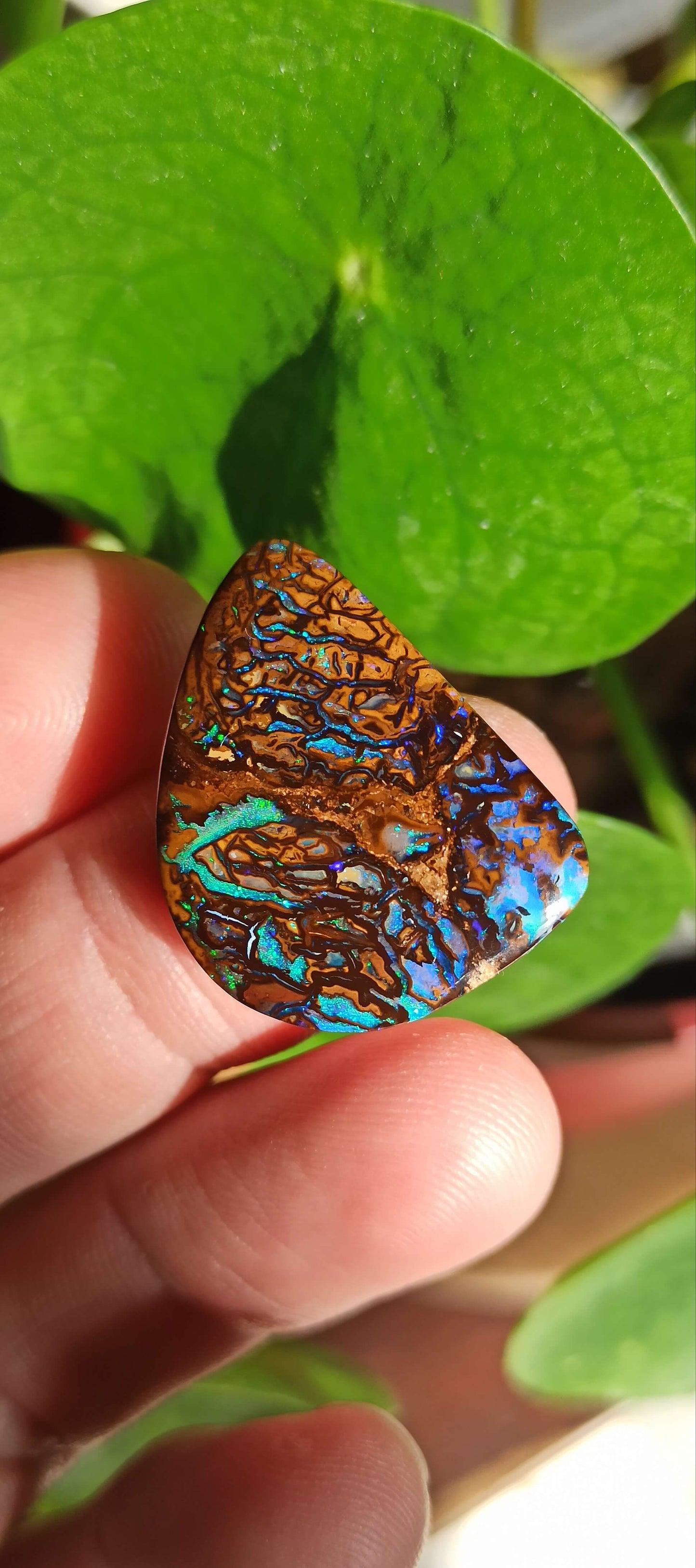 Opale Boulder Originale Koroit 🇦🇺