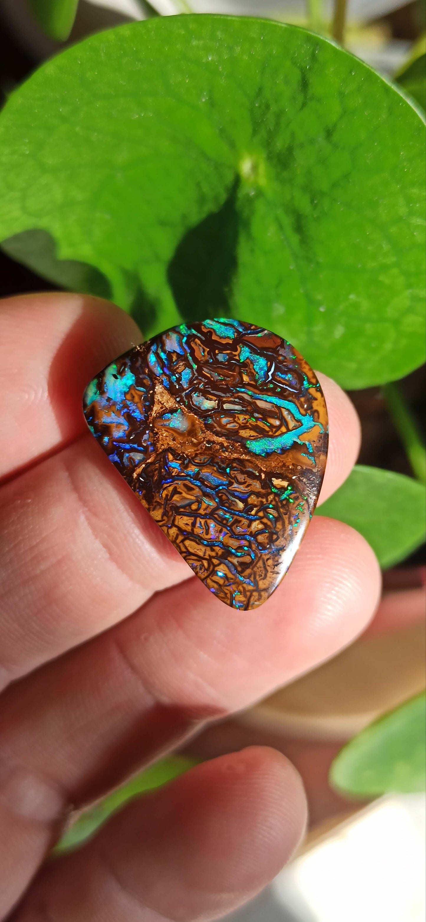 Opale Boulder Originale Koroit 🇦🇺