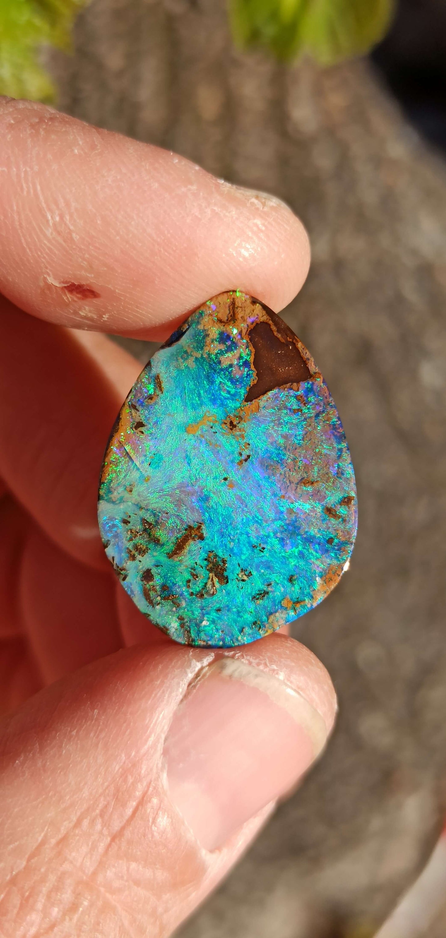 Opale Boulder Bleue Océan • Winton 🇦🇺