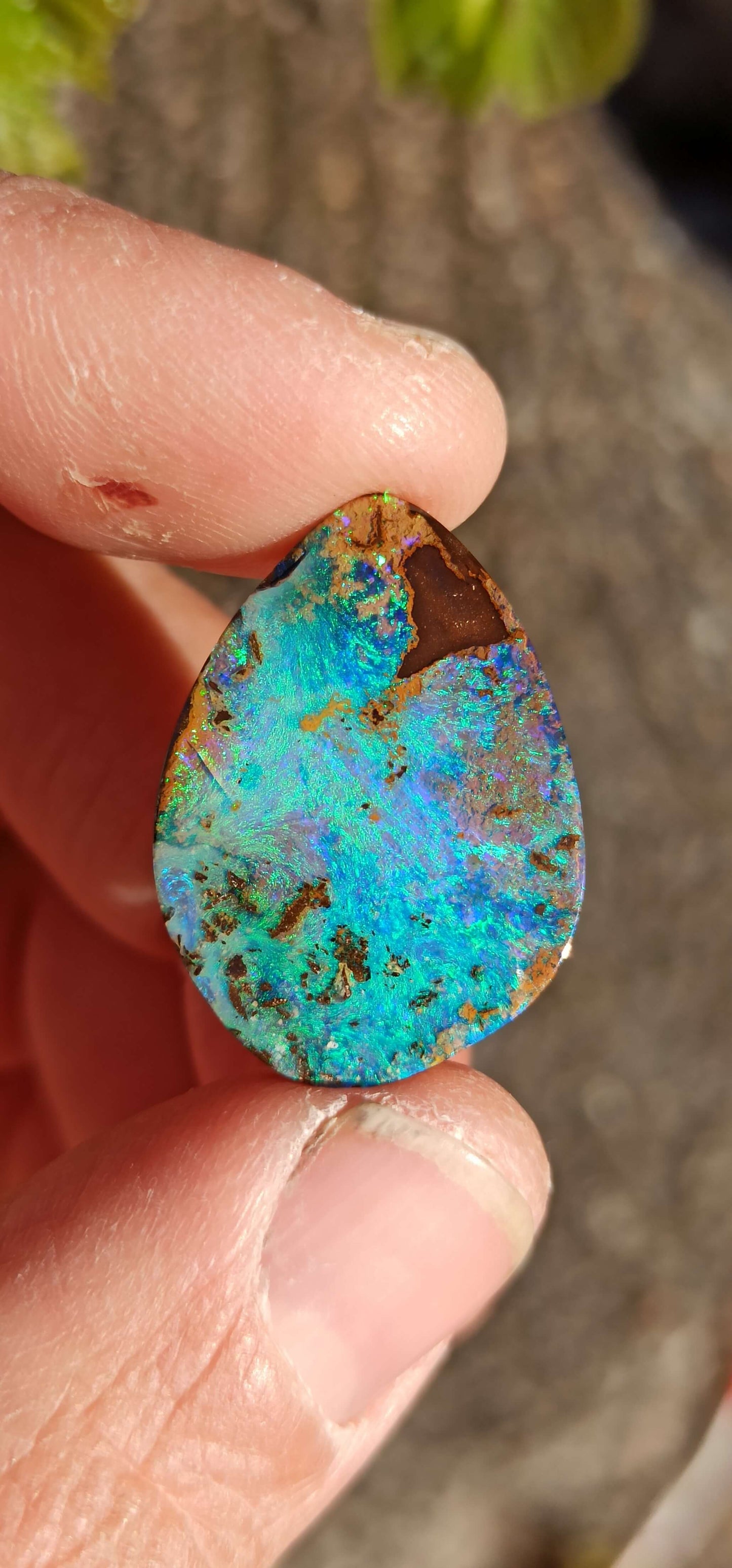 Opale Boulder Bleue Océan • Winton 🇦🇺
