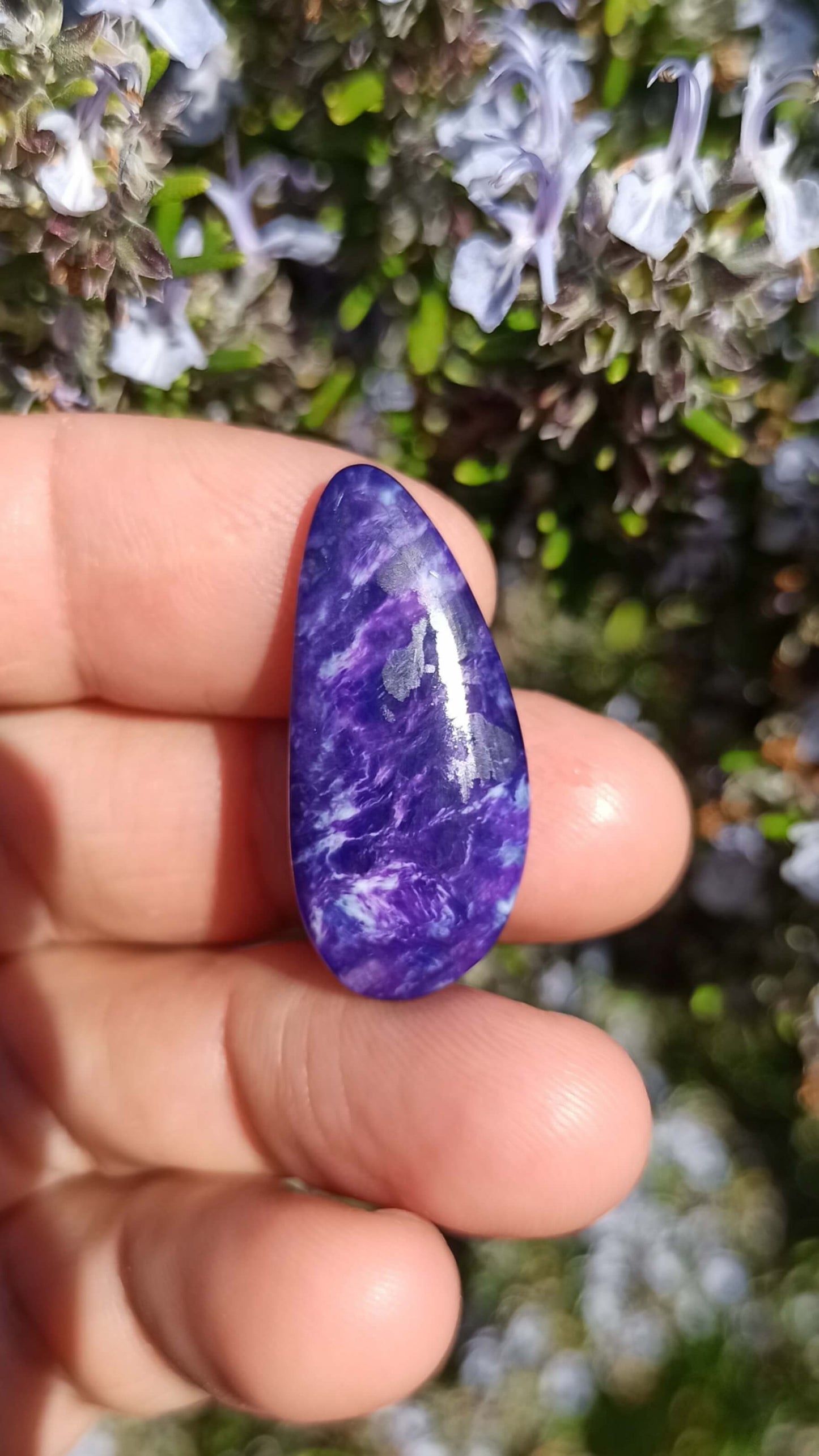 Cabochon Gel Sugilite