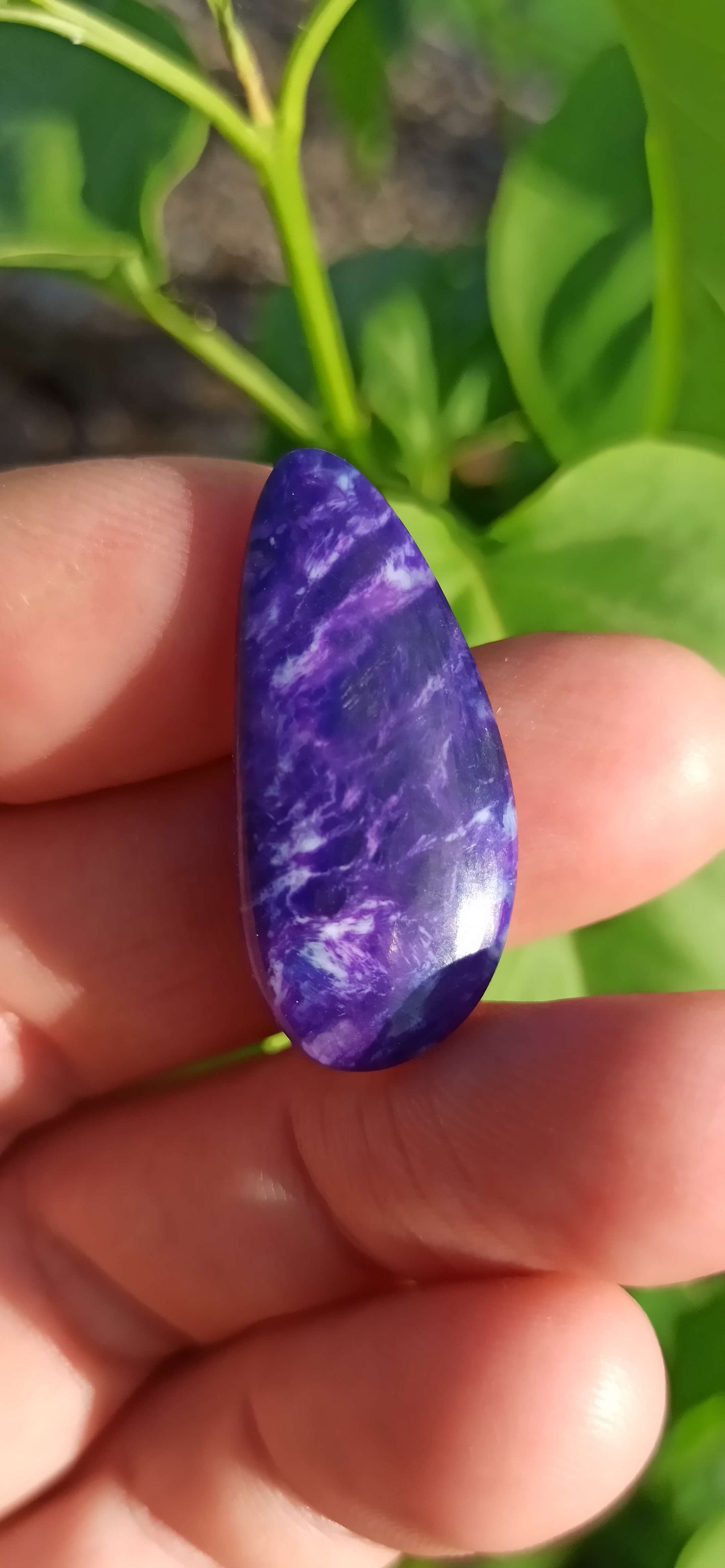 Cabochon Gel Sugilite