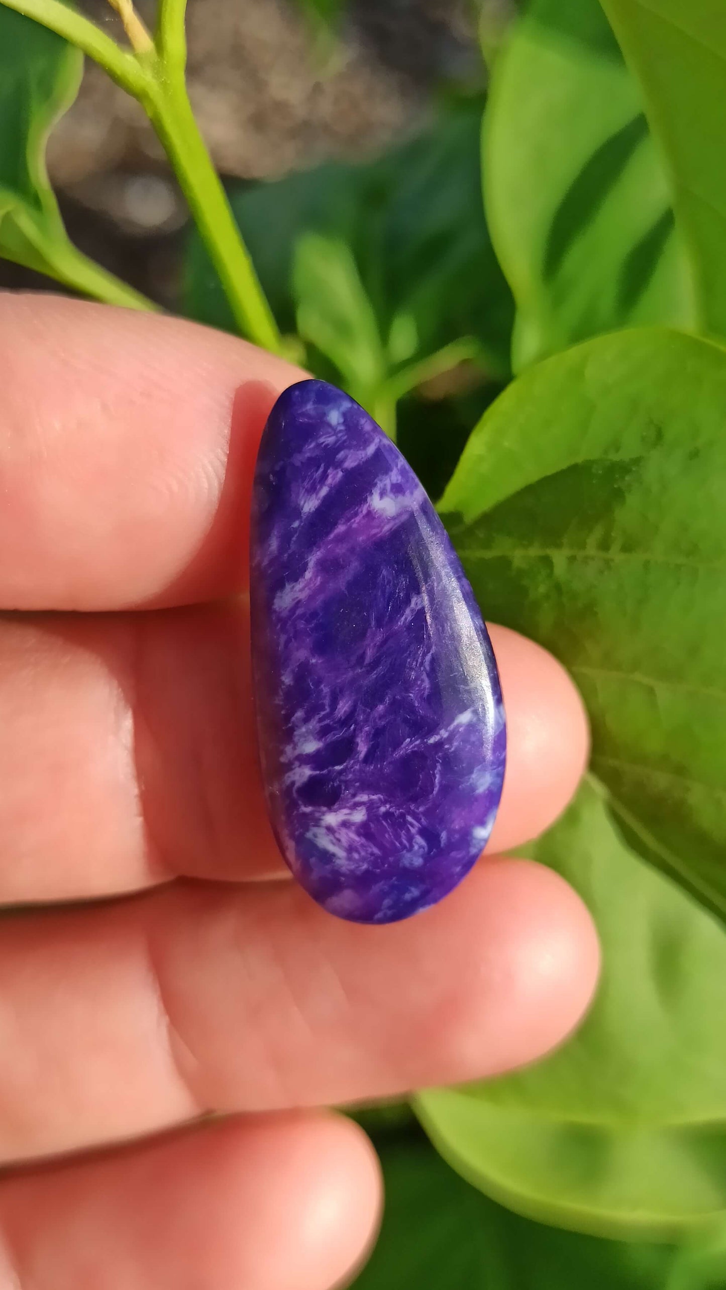 Cabochon Gel Sugilite