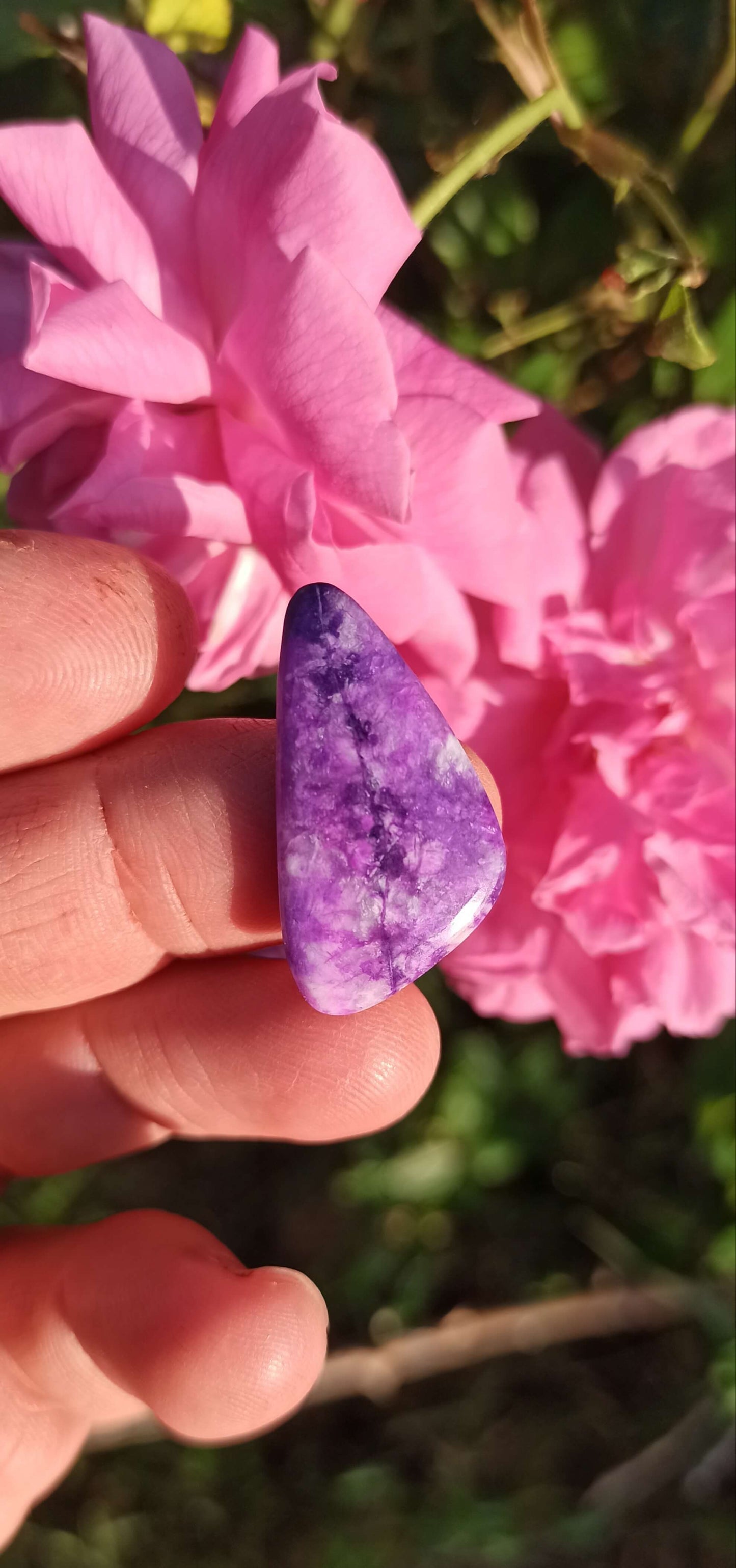 Cabochon Gel Sugilite