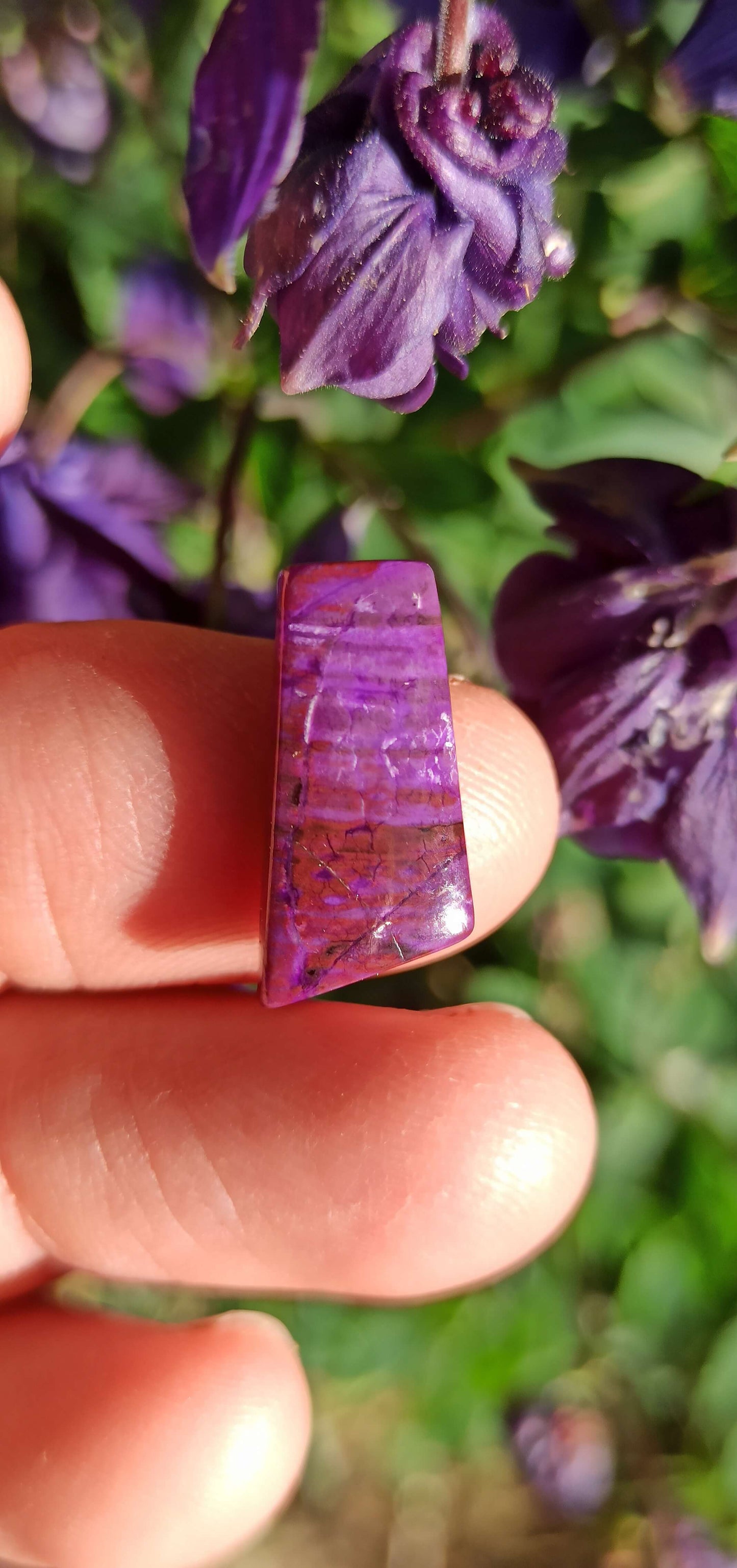 Cabochon Sugilite