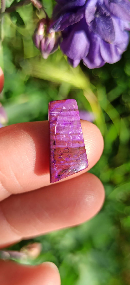 Cabochon Sugilite