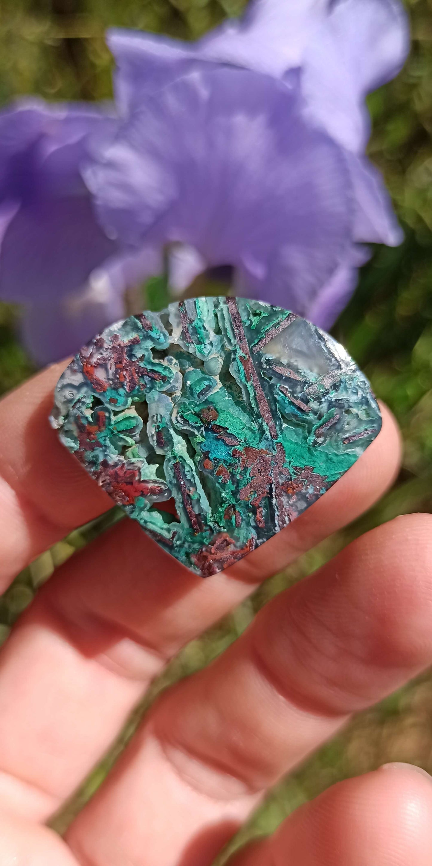 Cabochon Chrysocolle Cuivre Natif