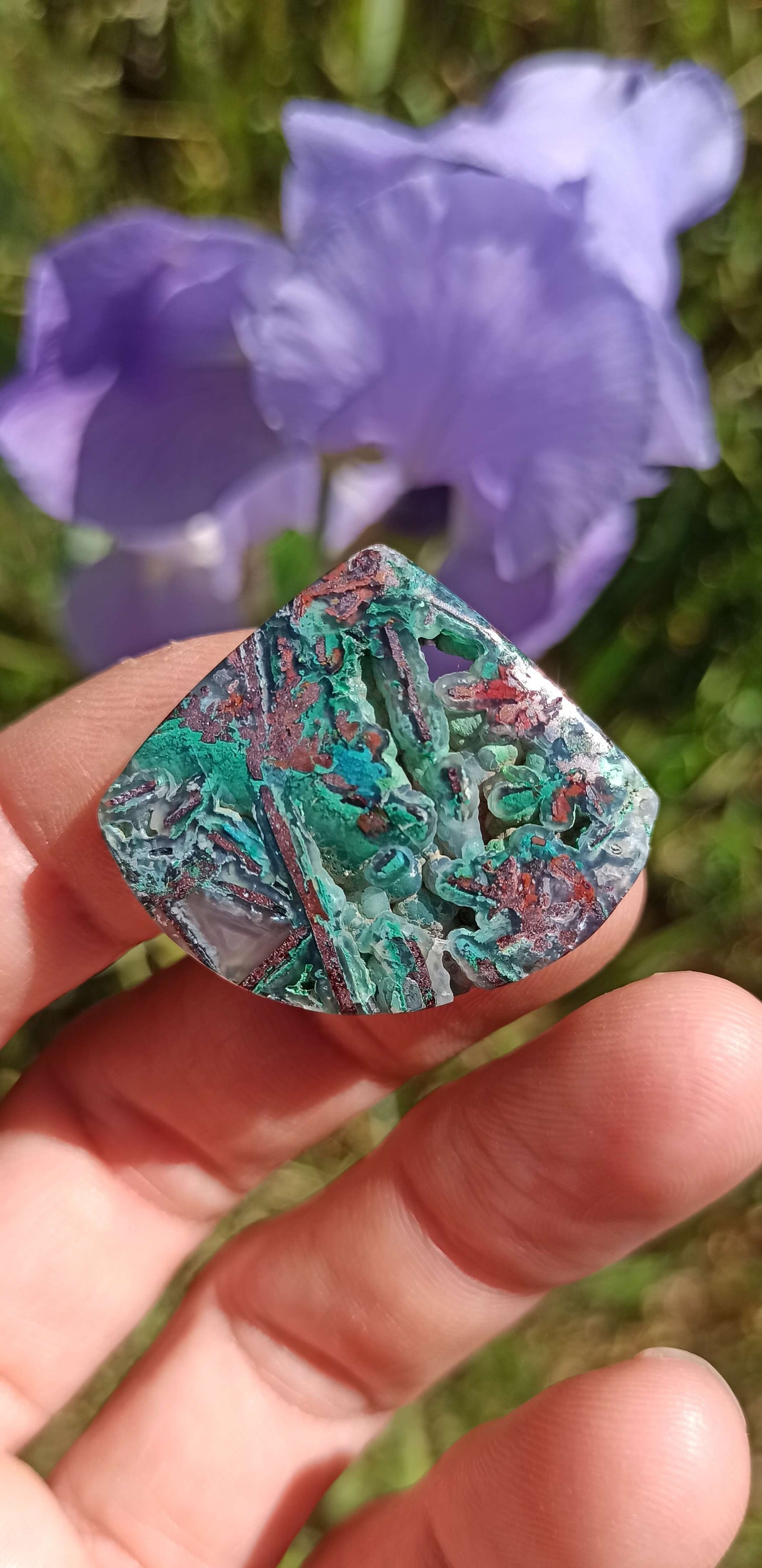 Cabochon Chrysocolle Cuivre Natif