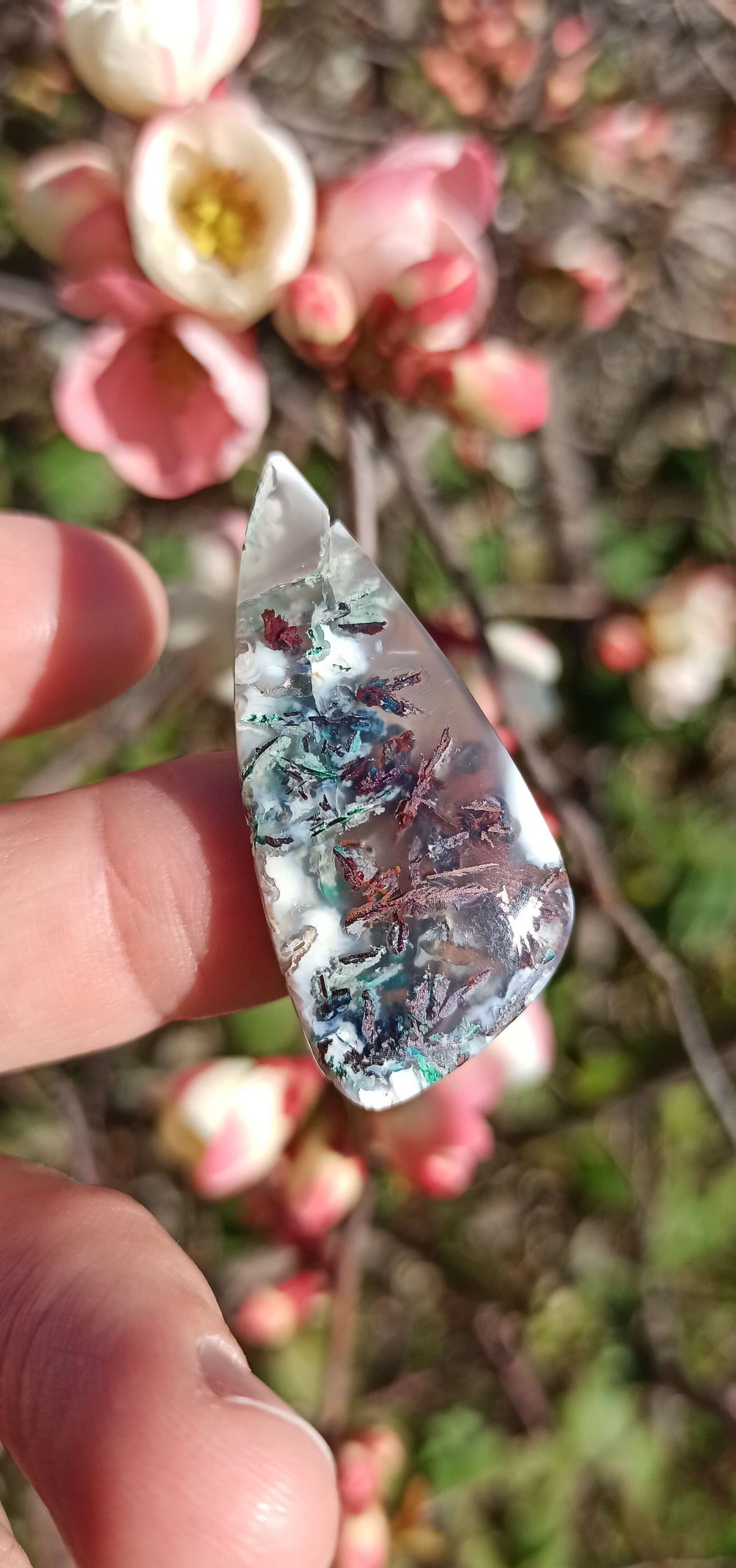 Calcédoine Cuprifère ~ Cabochon