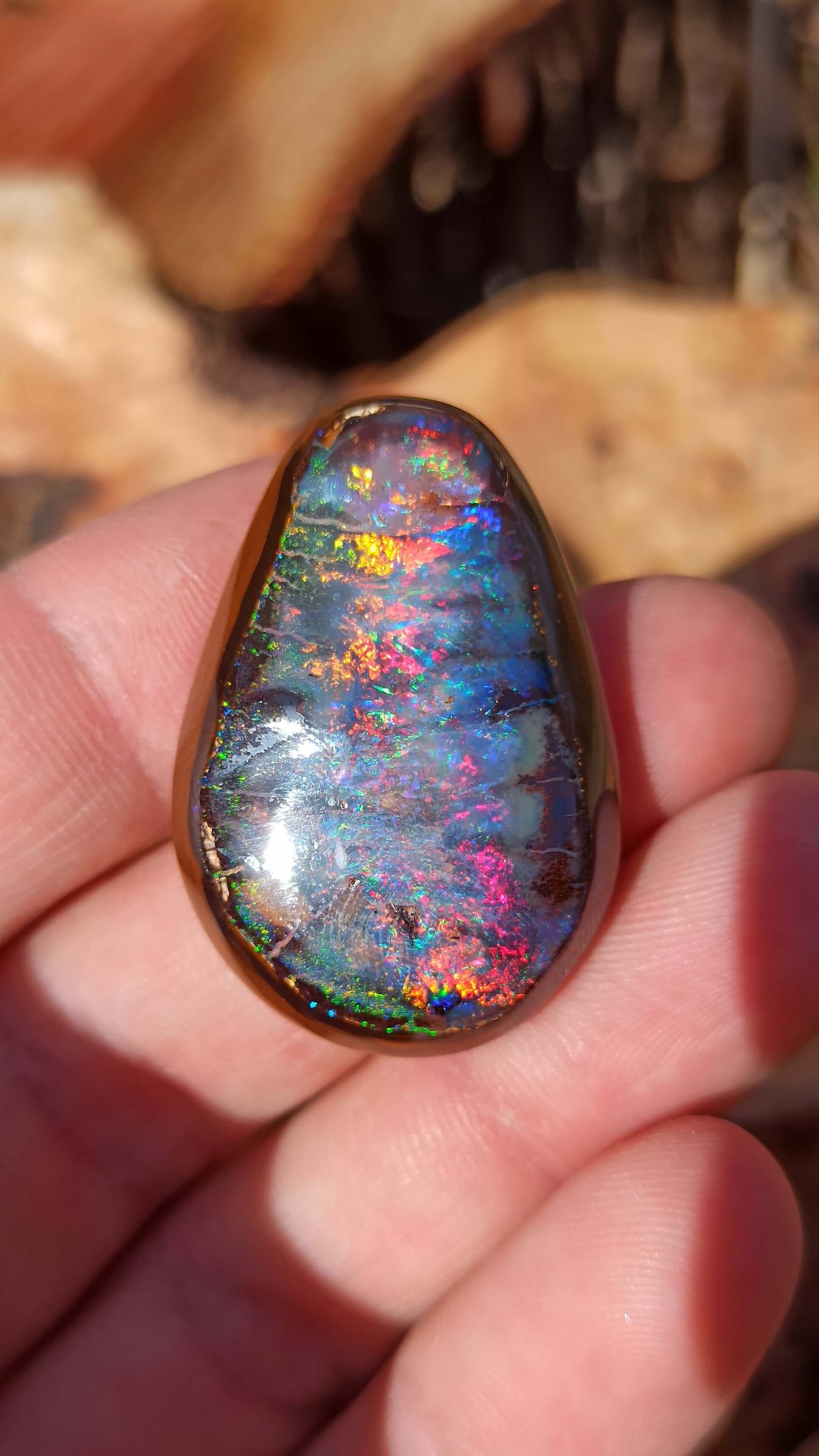 Magnifique Noix d'Opale Boulder 🇦🇺 ~ Pièce d'investissement