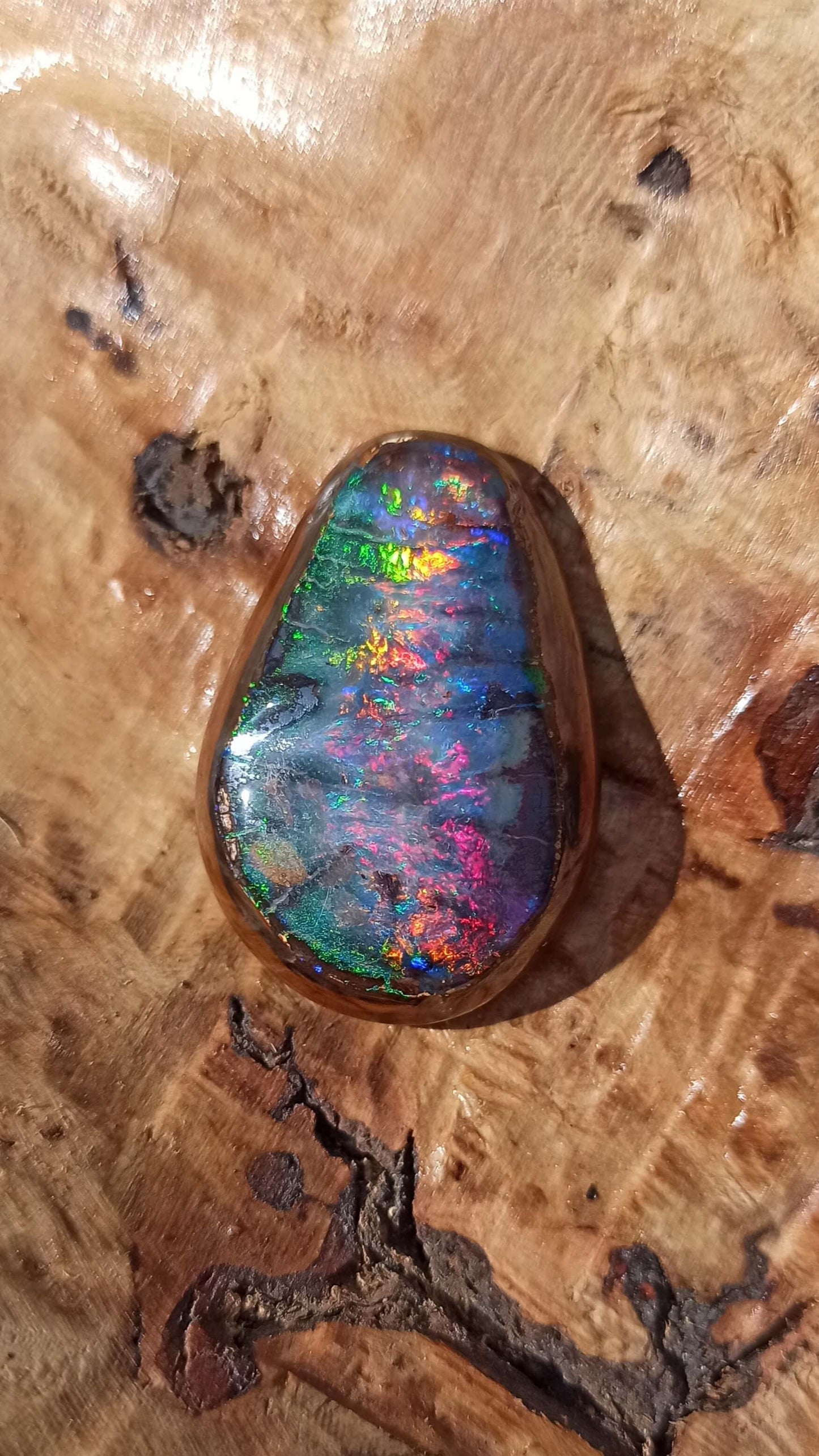 Magnifique Noix d'Opale Boulder 🇦🇺 ~ Pièce d'investissement