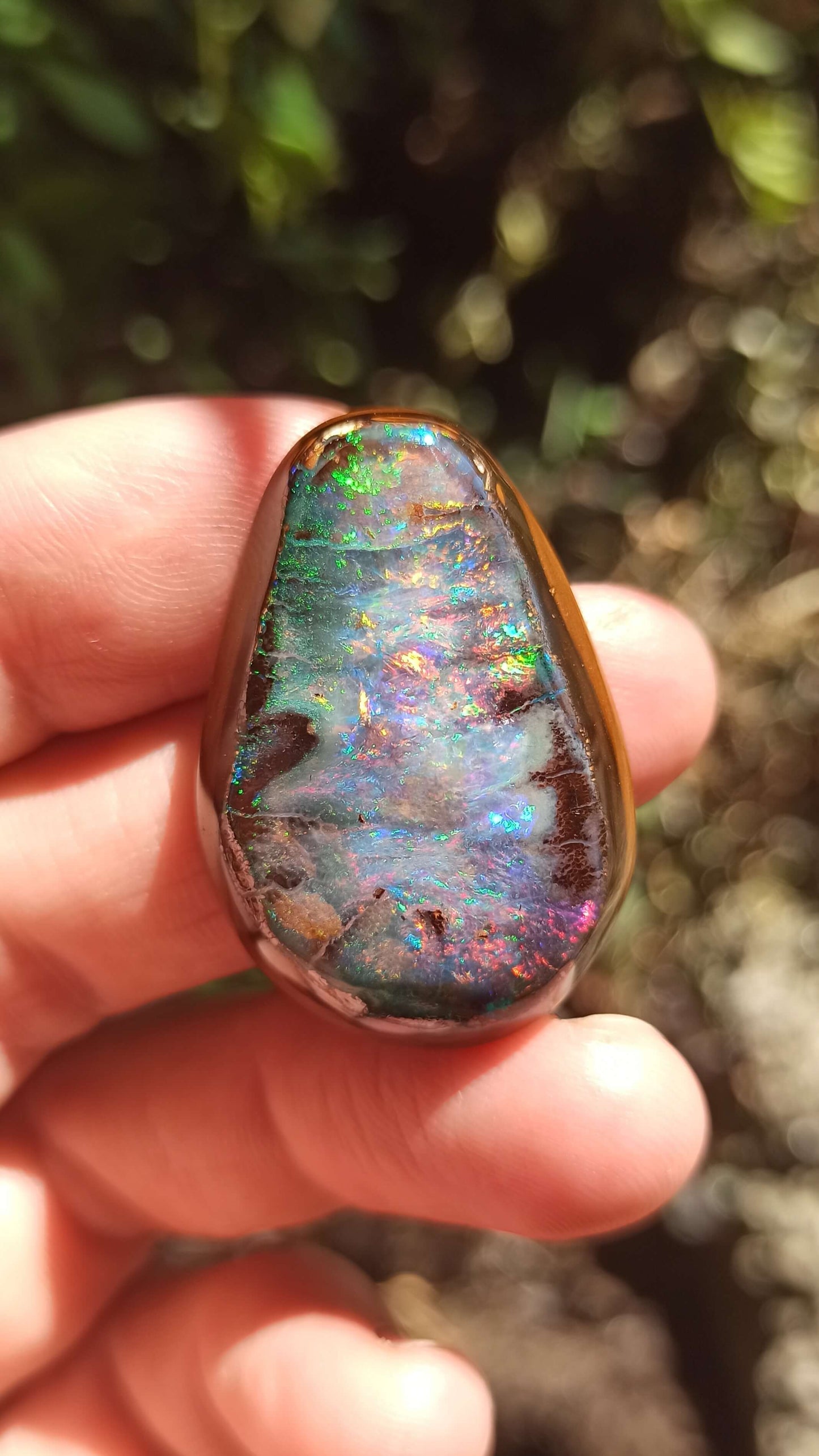 Magnifique Noix d'Opale Boulder 🇦🇺 ~ Pièce d'investissement