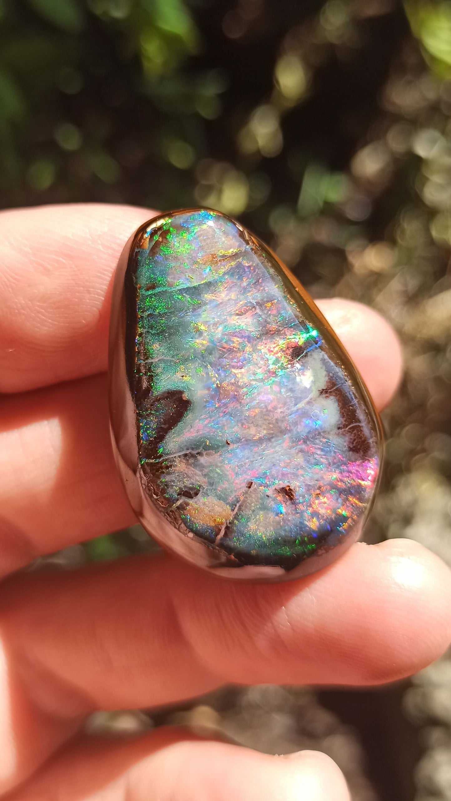 Magnifique Noix d'Opale Boulder 🇦🇺 ~ Pièce d'investissement