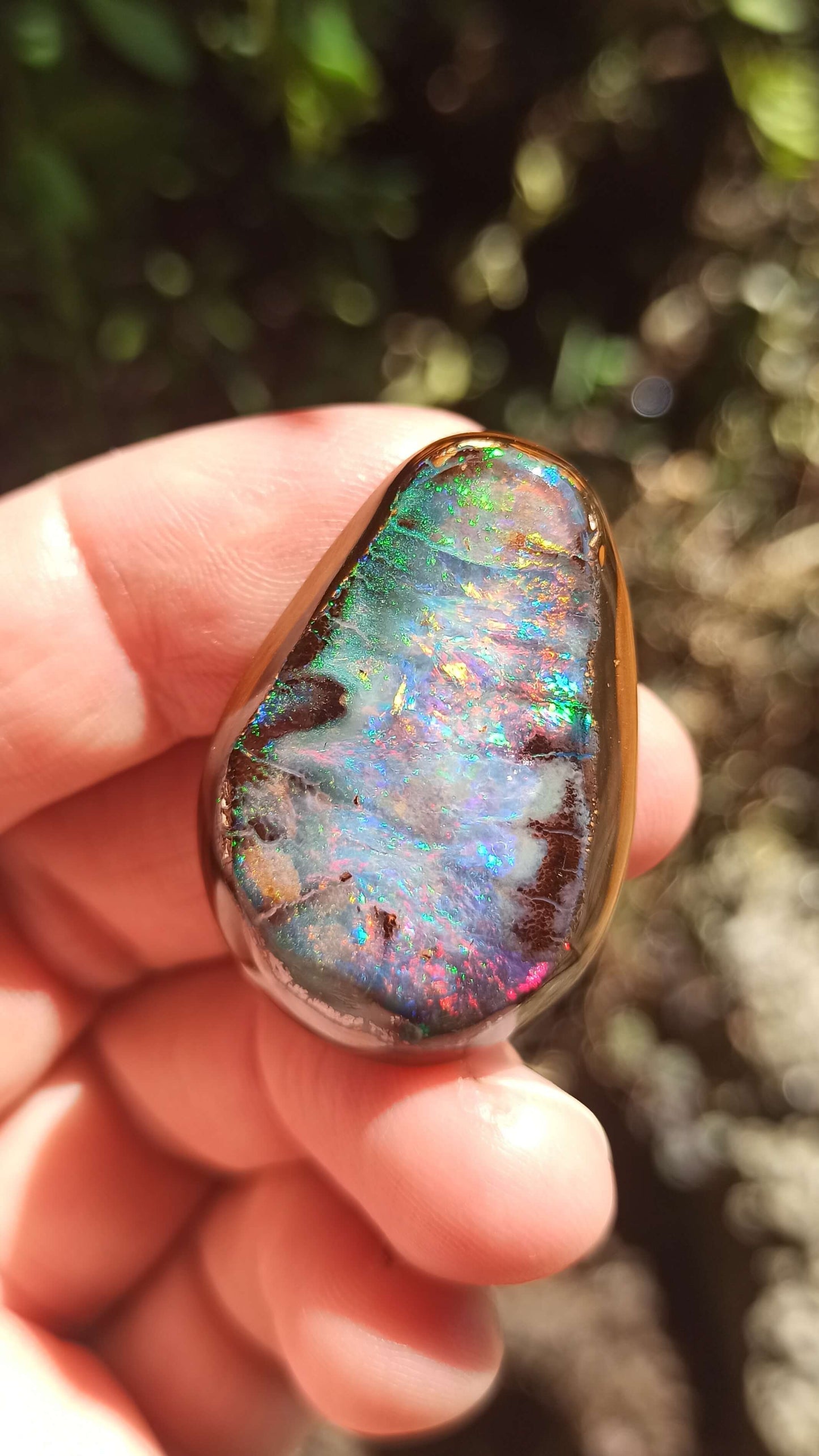 Magnifique Noix d'Opale Boulder 🇦🇺 ~ Pièce d'investissement