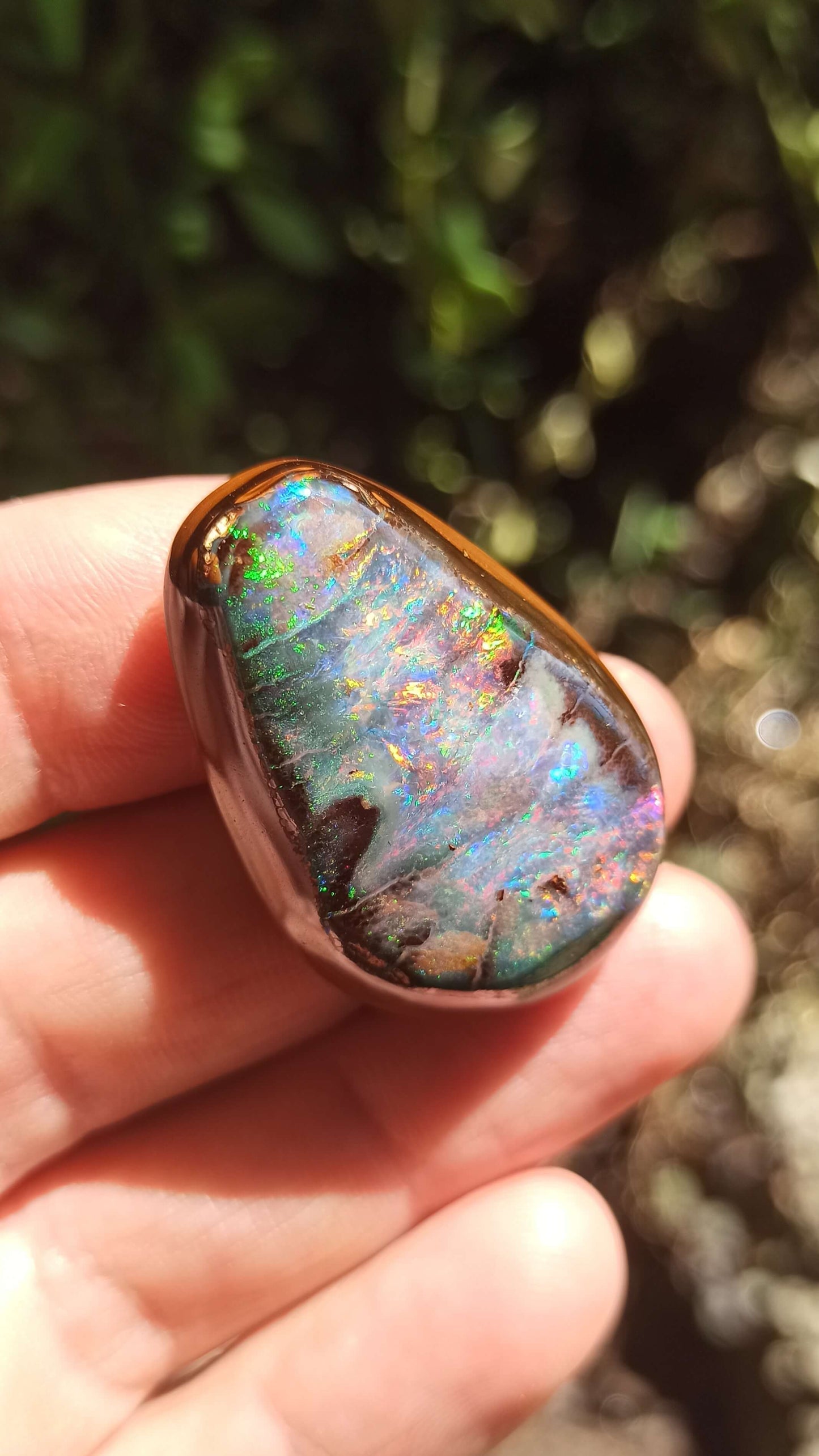 Magnifique Noix d'Opale Boulder 🇦🇺 ~ Pièce d'investissement