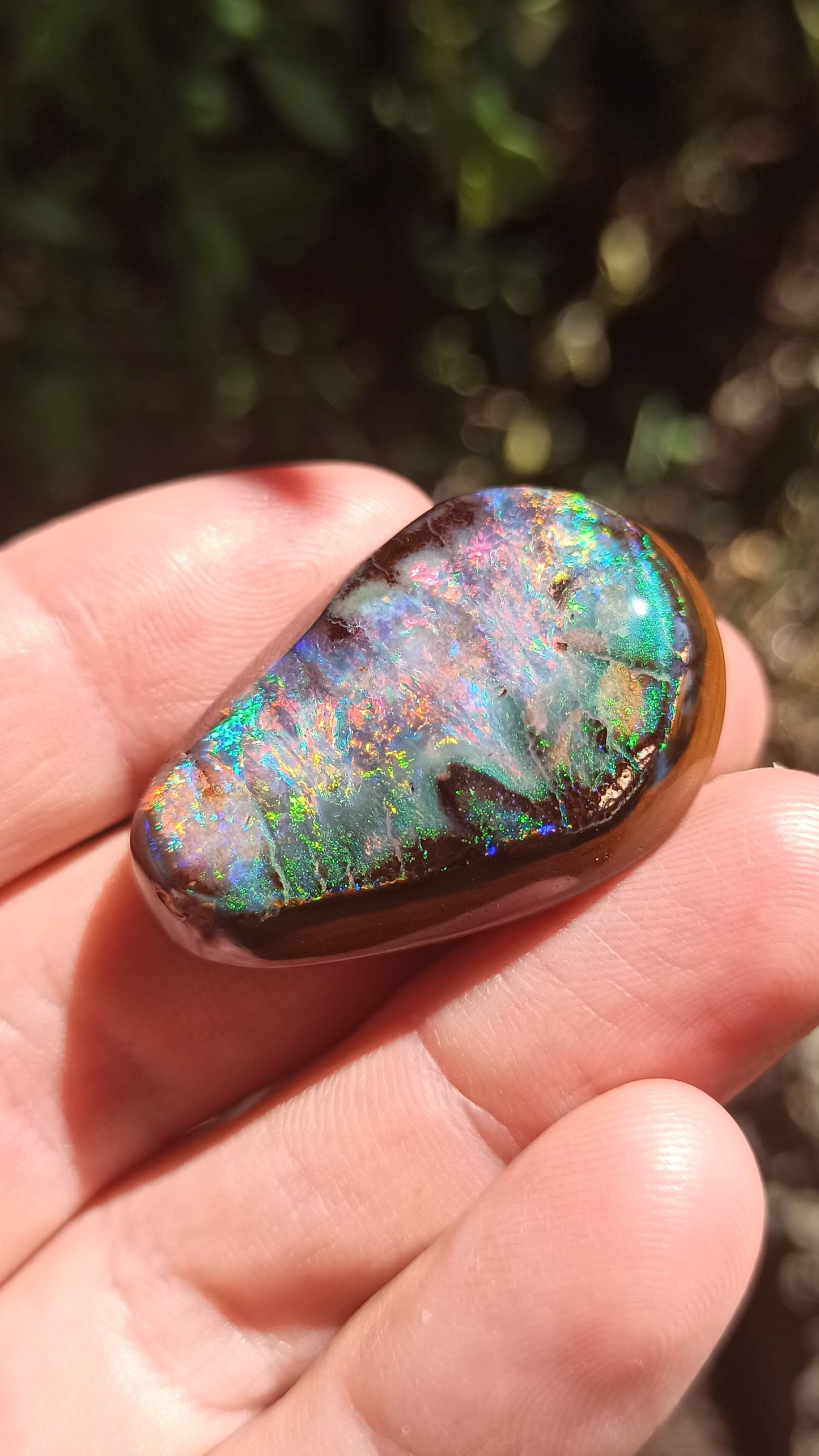 Magnifique Noix d'Opale Boulder 🇦🇺 ~ Pièce d'investissement