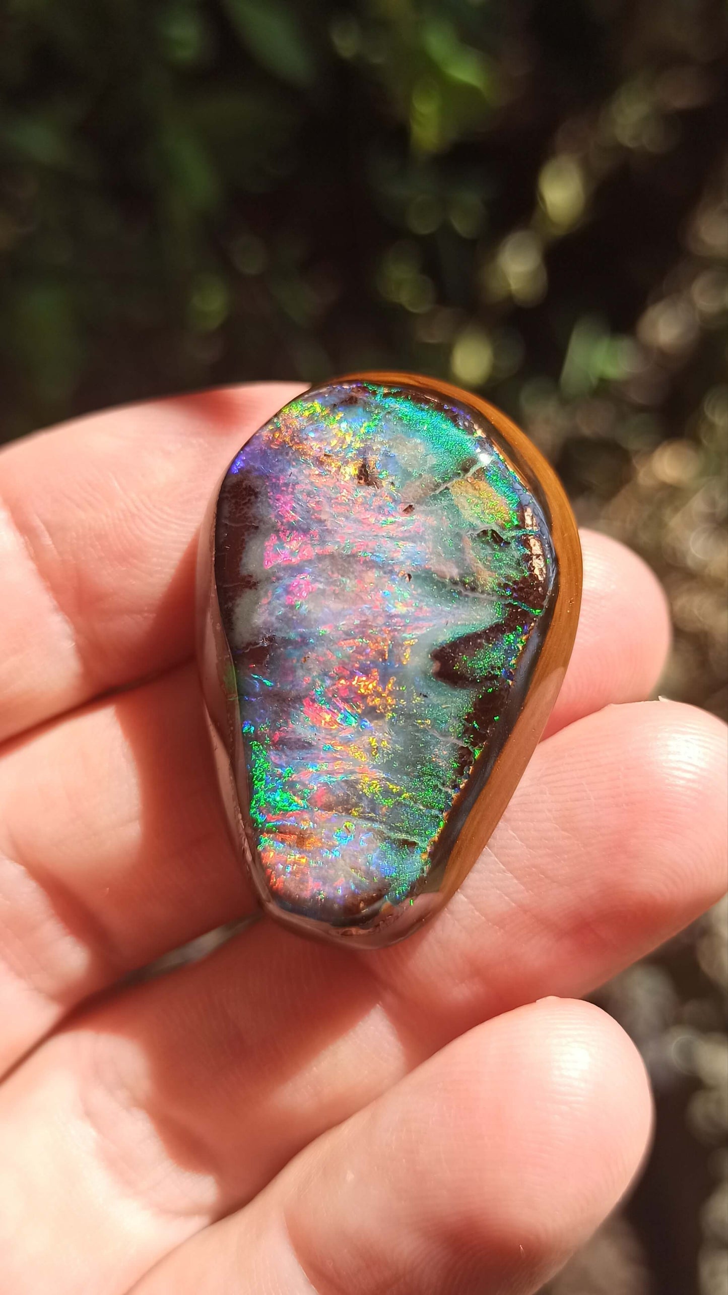 Magnifique Noix d'Opale Boulder 🇦🇺 ~ Pièce d'investissement