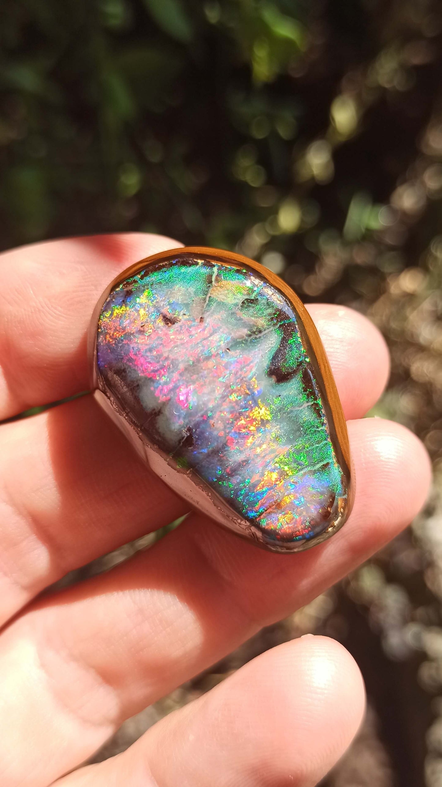 Magnifique Noix d'Opale Boulder 🇦🇺 ~ Pièce d'investissement