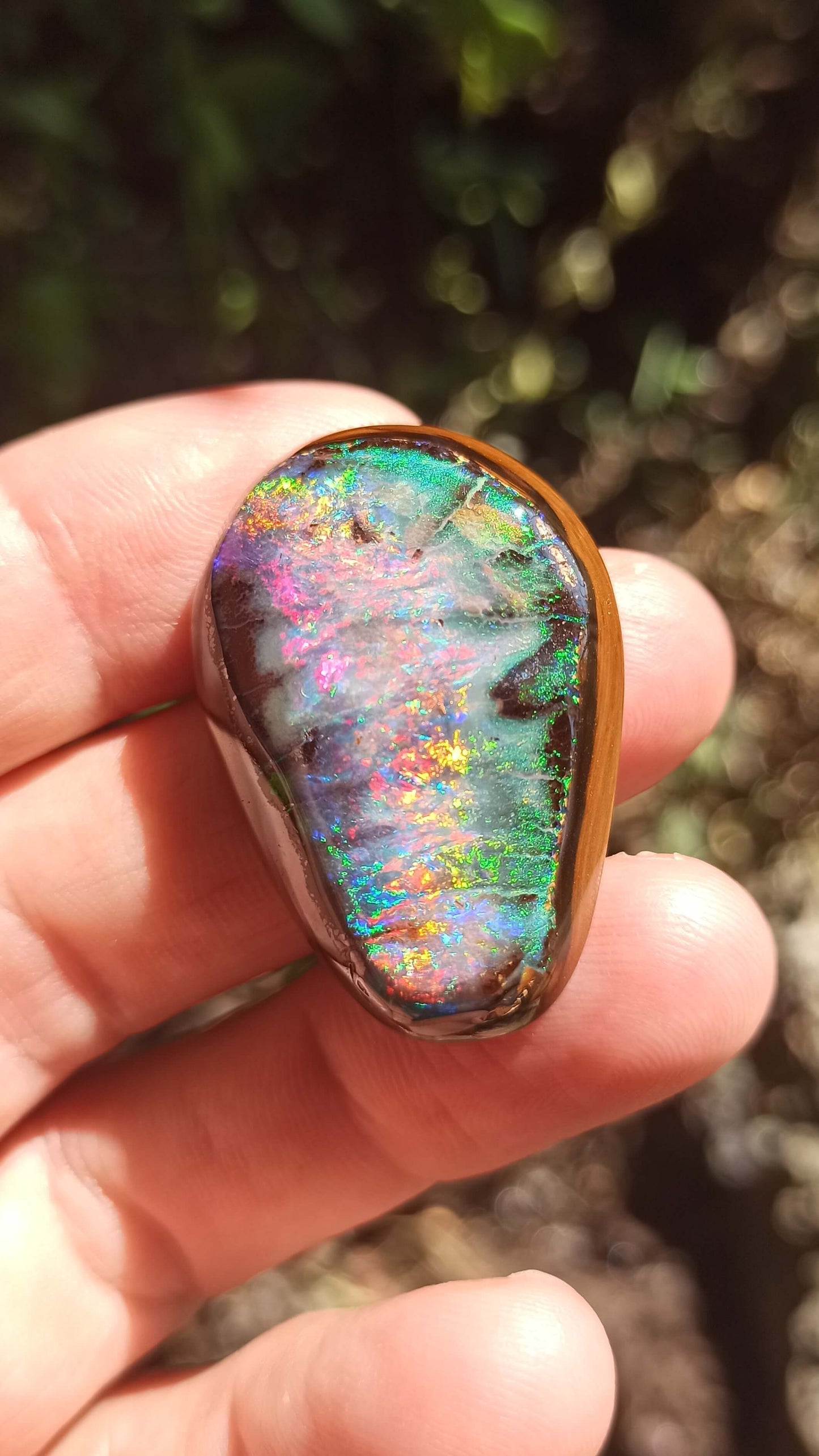 Magnifique Noix d'Opale Boulder 🇦🇺 ~ Pièce d'investissement