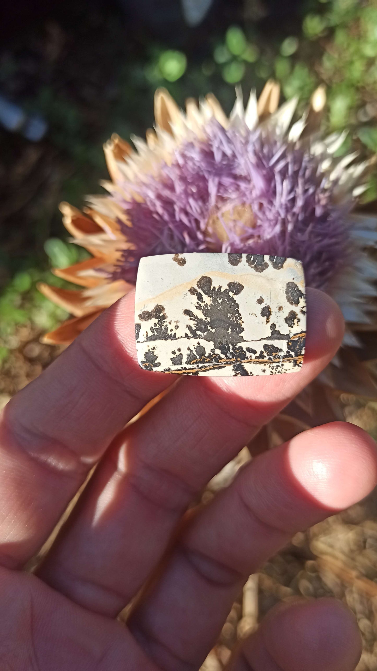 Cabochon Jaspe Dendritique ~ Indonésie 🌴