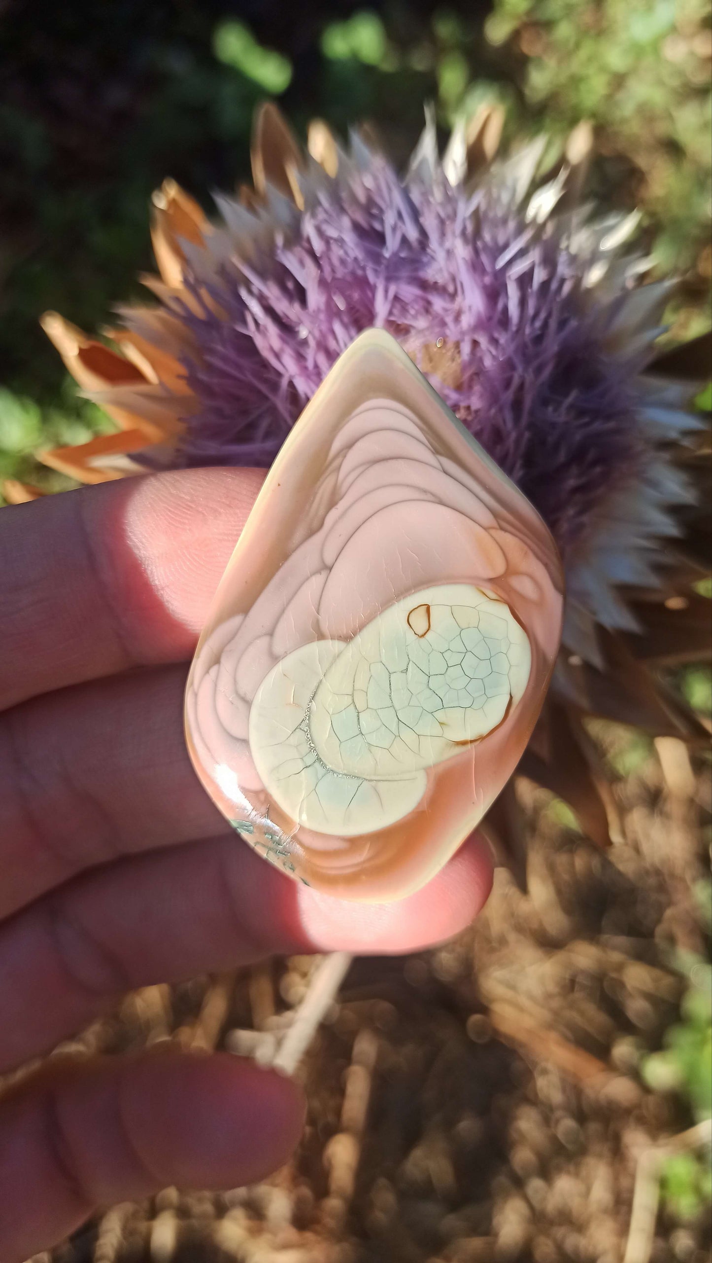 Cabochon Jaspe Royal Impérial ~ Mexique