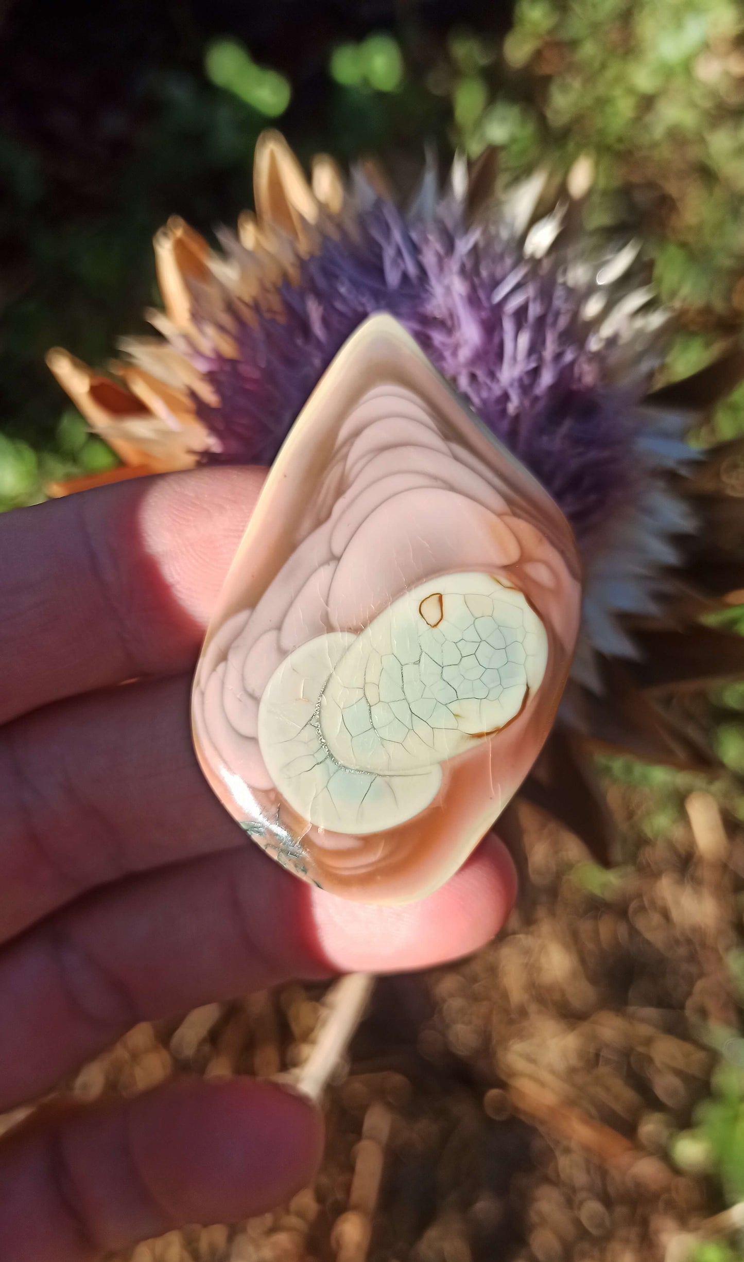 Cabochon Jaspe Royal Impérial ~ Mexique