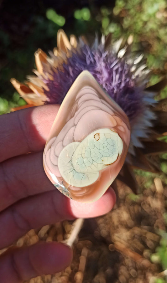 Cabochon Jaspe Royal Impérial ~ Mexique