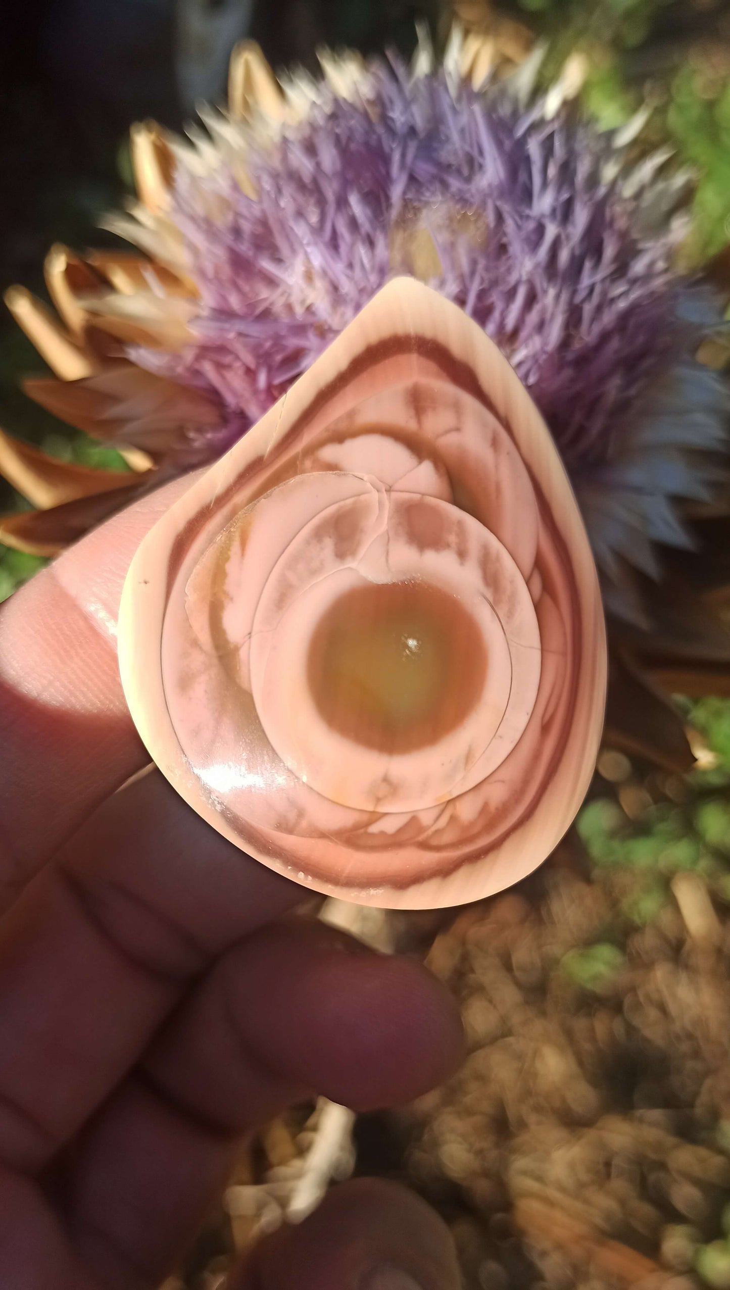 Cabochon Jaspe Royal Impérial ~ Mexique