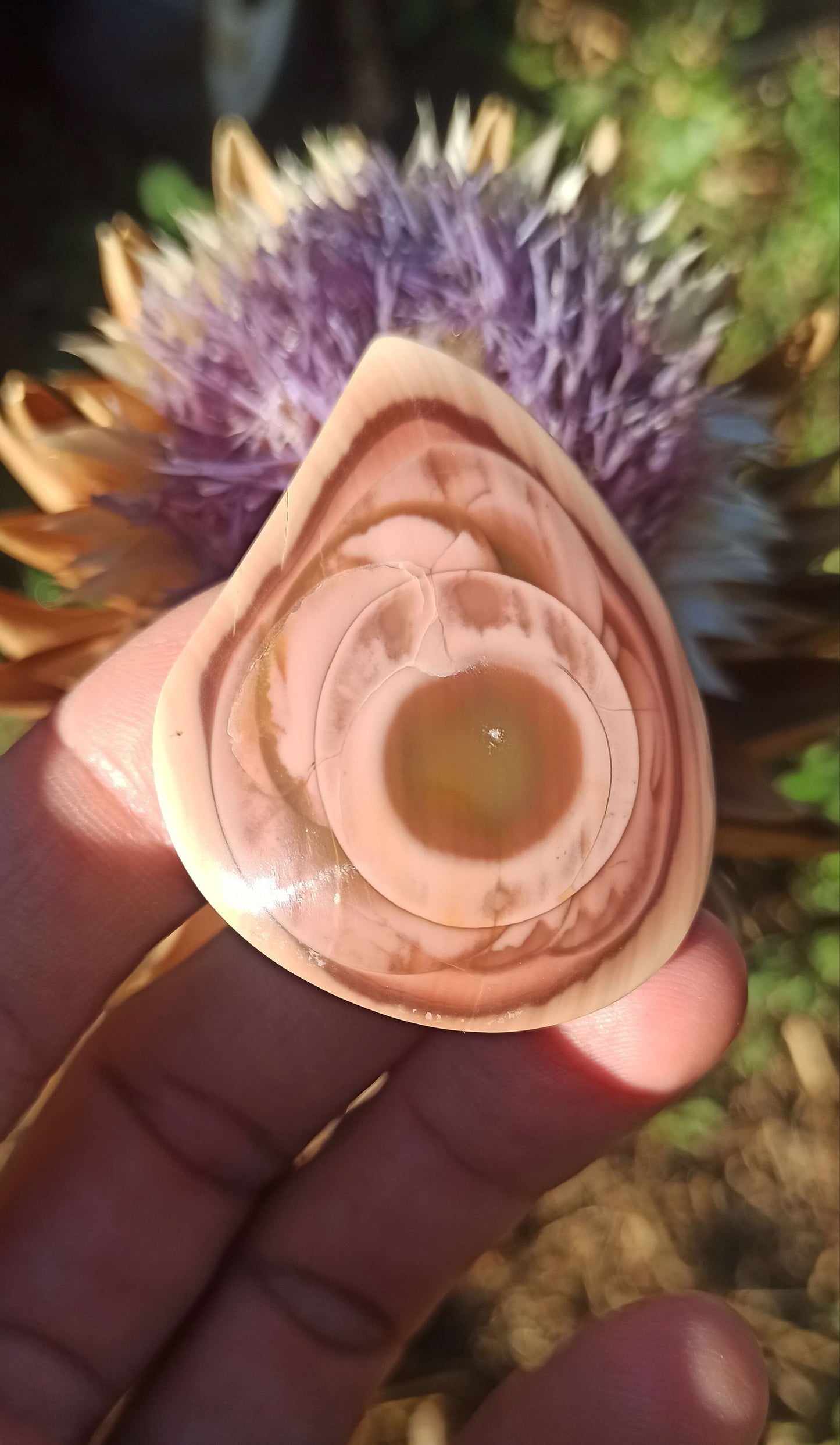 Cabochon Jaspe Royal Impérial ~ Mexique