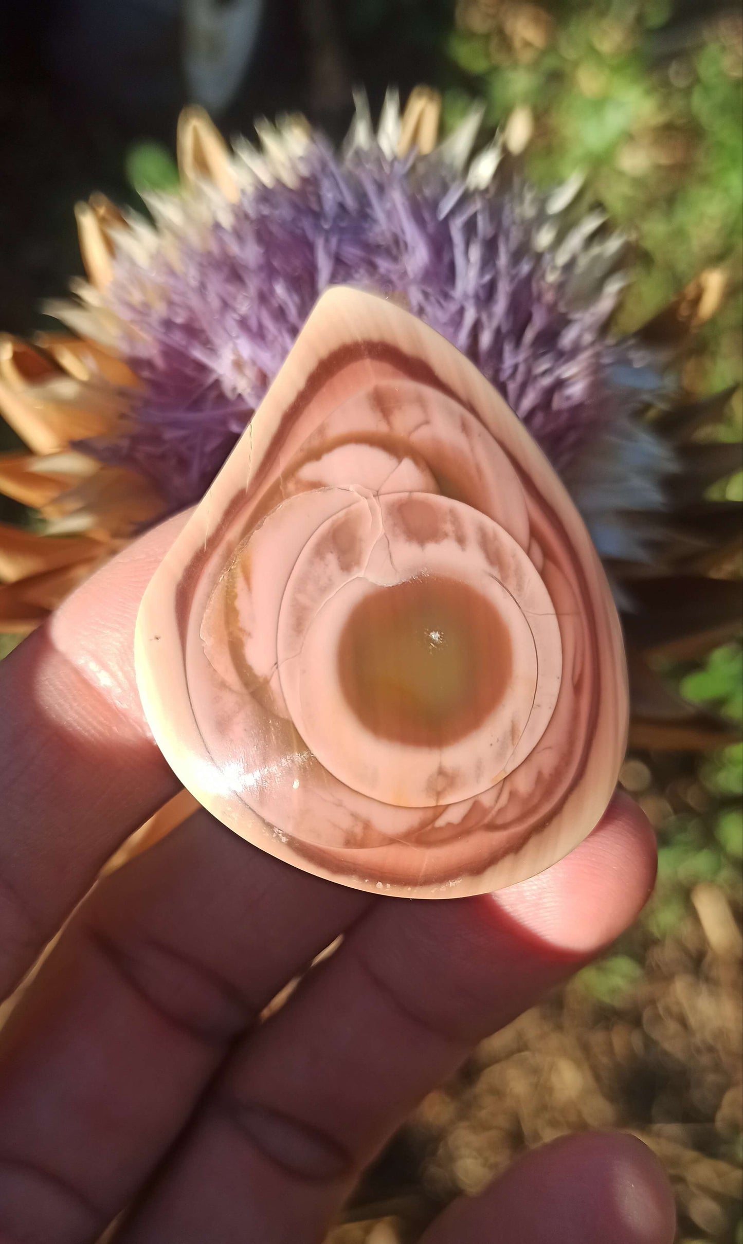 Cabochon Jaspe Royal Impérial ~ Mexique